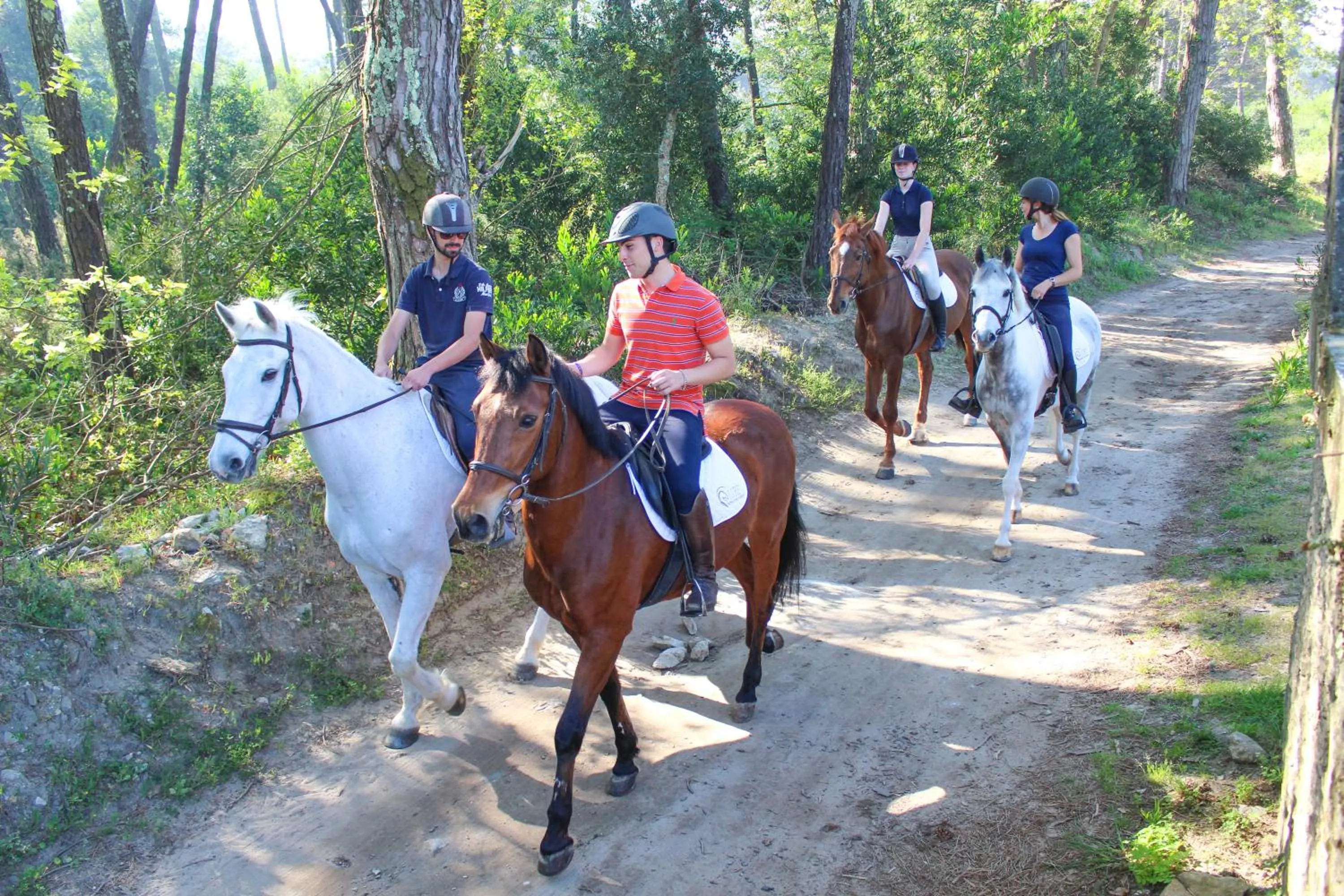 Horse-riding in InnEsposende Sports Hostel