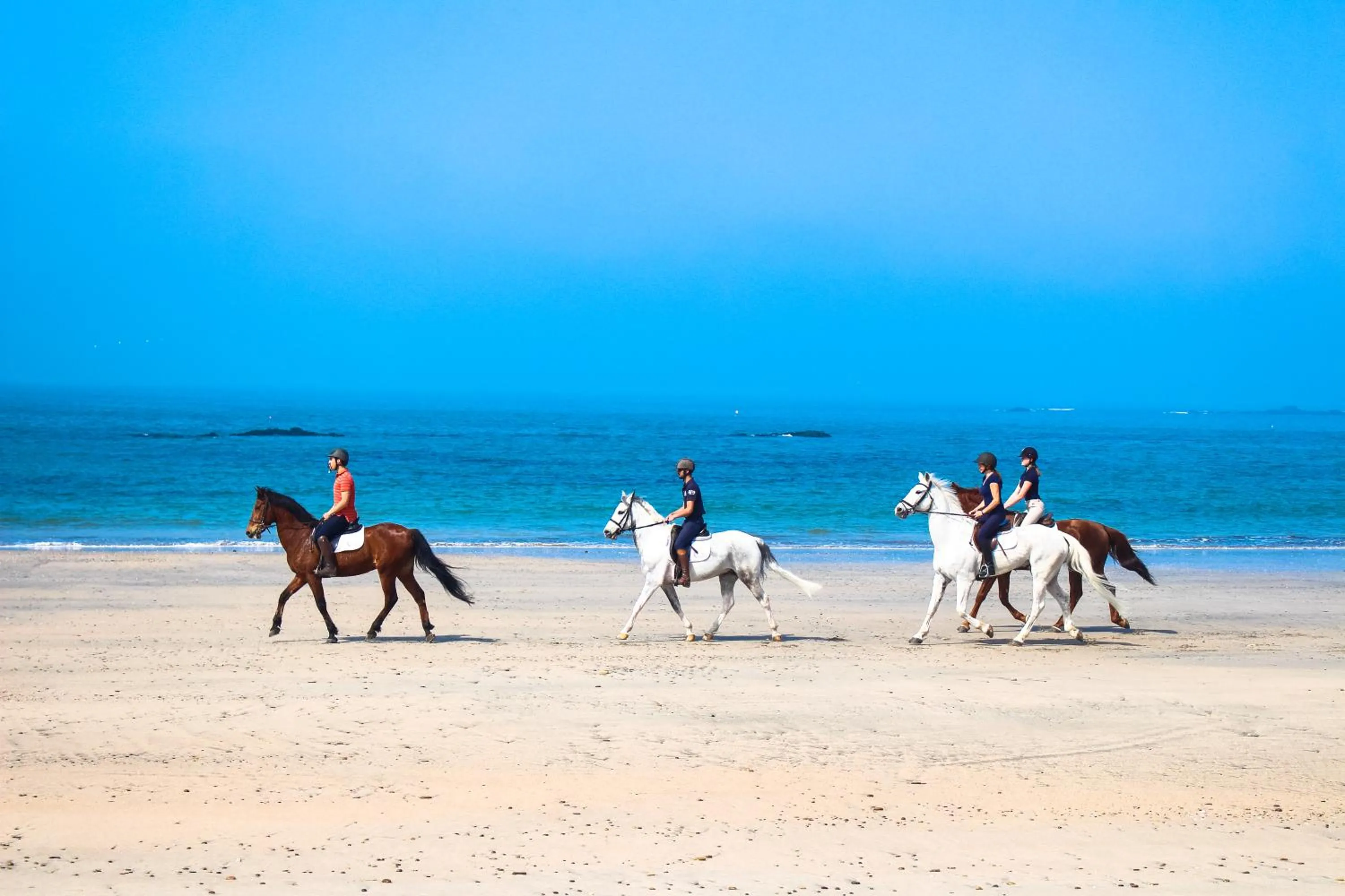 Horse-riding in InnEsposende Sports Hostel