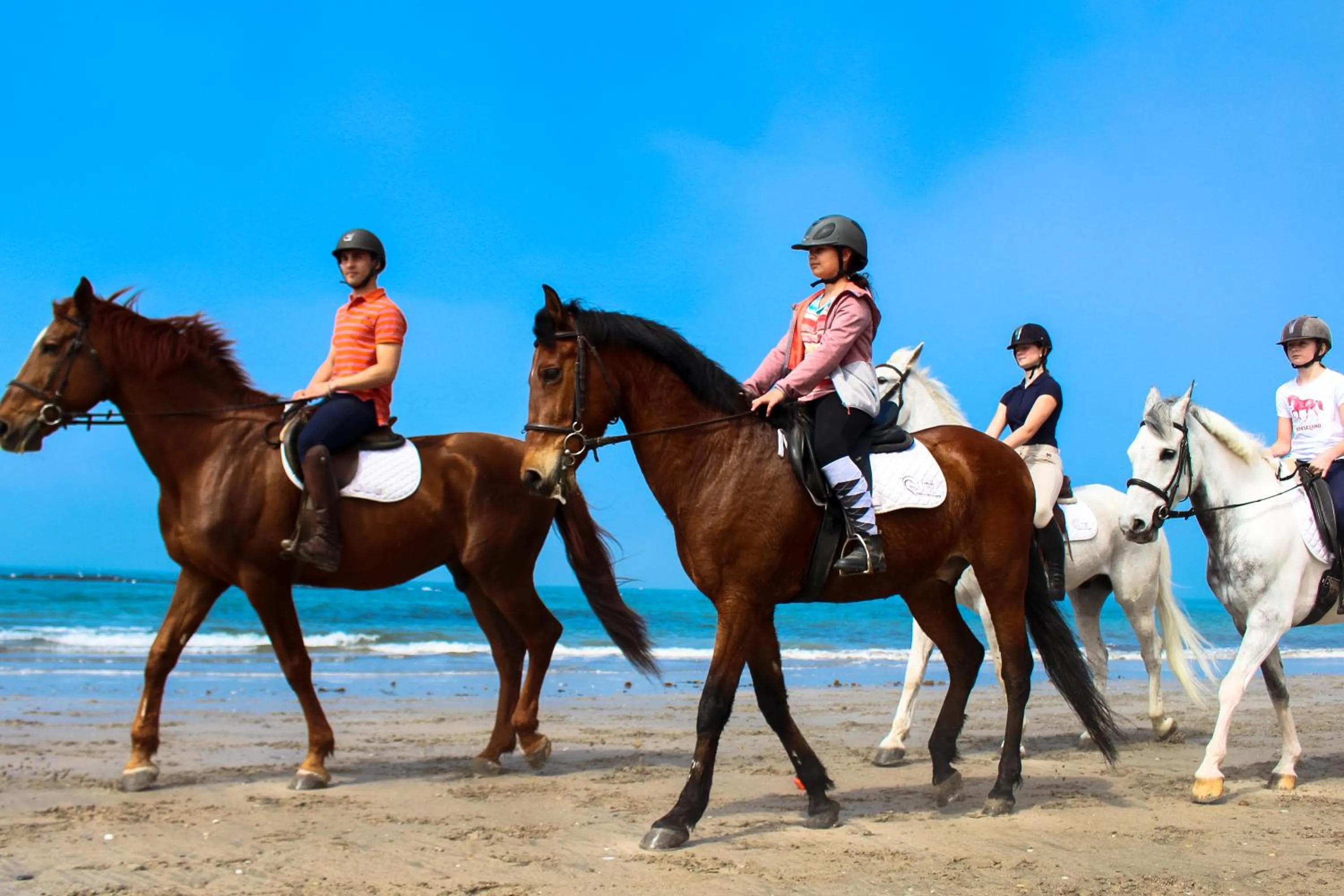 Horse-riding in InnEsposende Sports Hostel