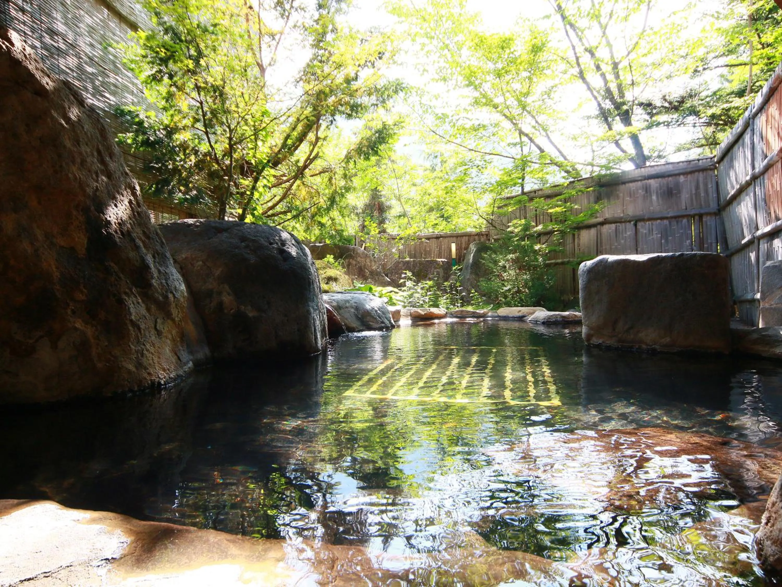 Hot Spring Bath in Matsunoi