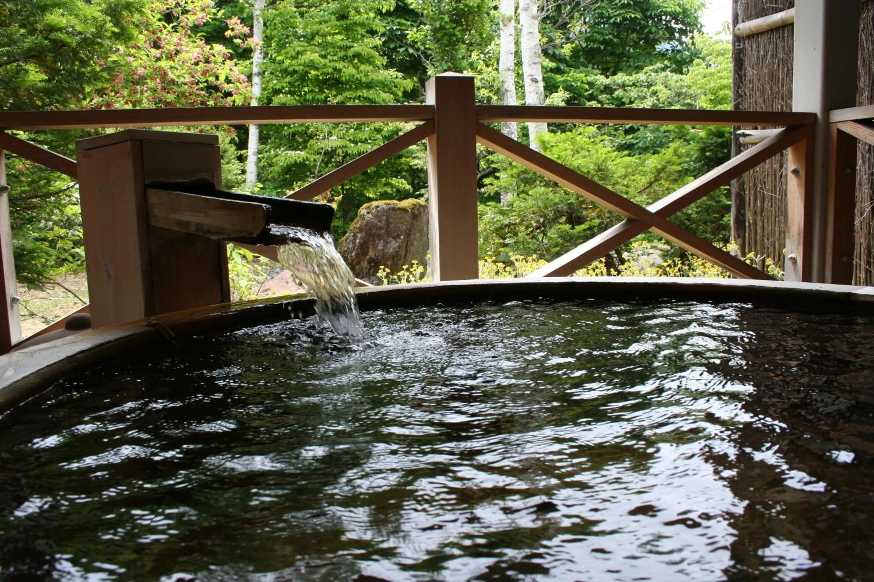 Hot Spring Bath in Matsunoi