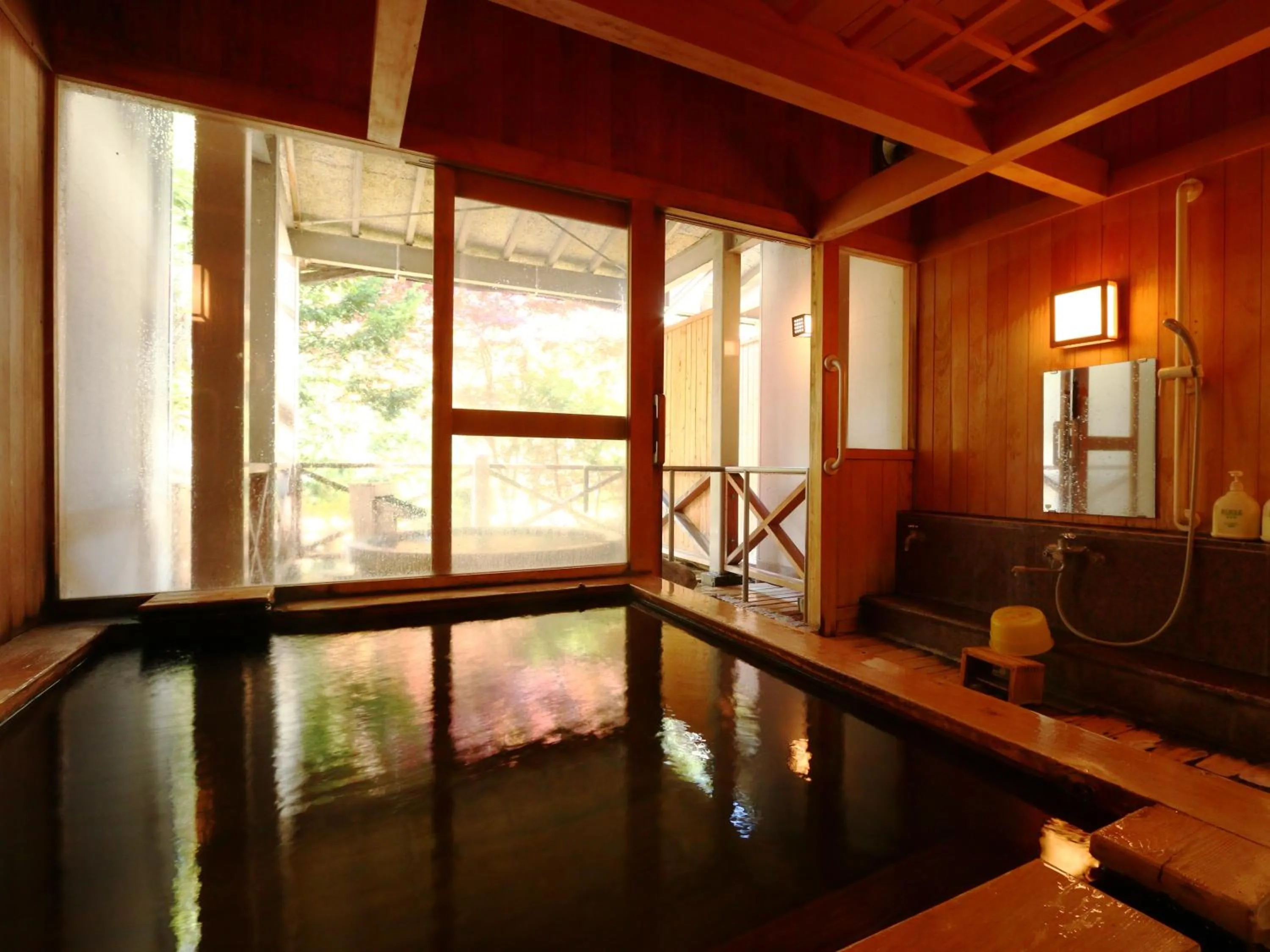 Hot Spring Bath in Matsunoi