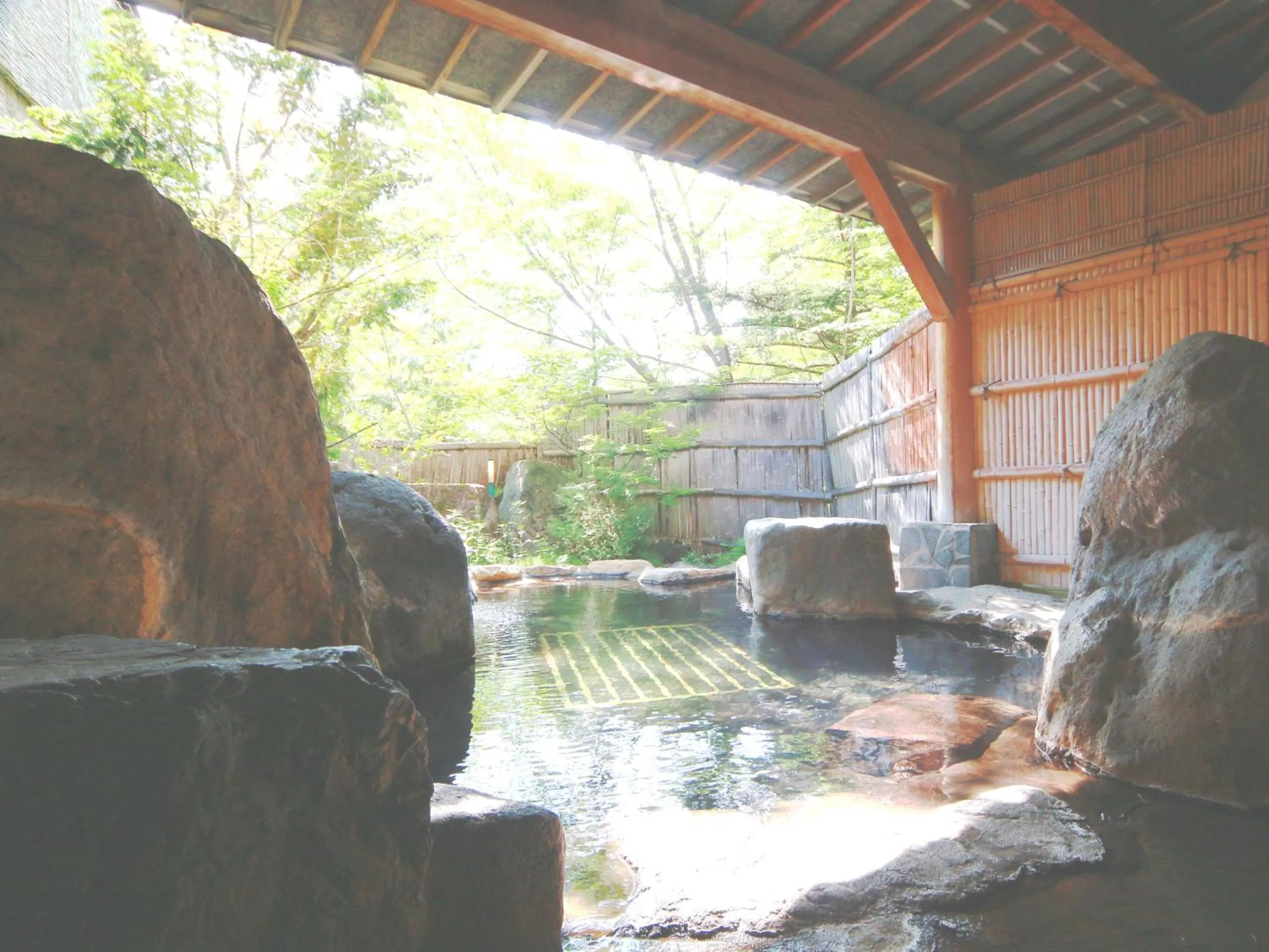 Hot Spring Bath in Matsunoi