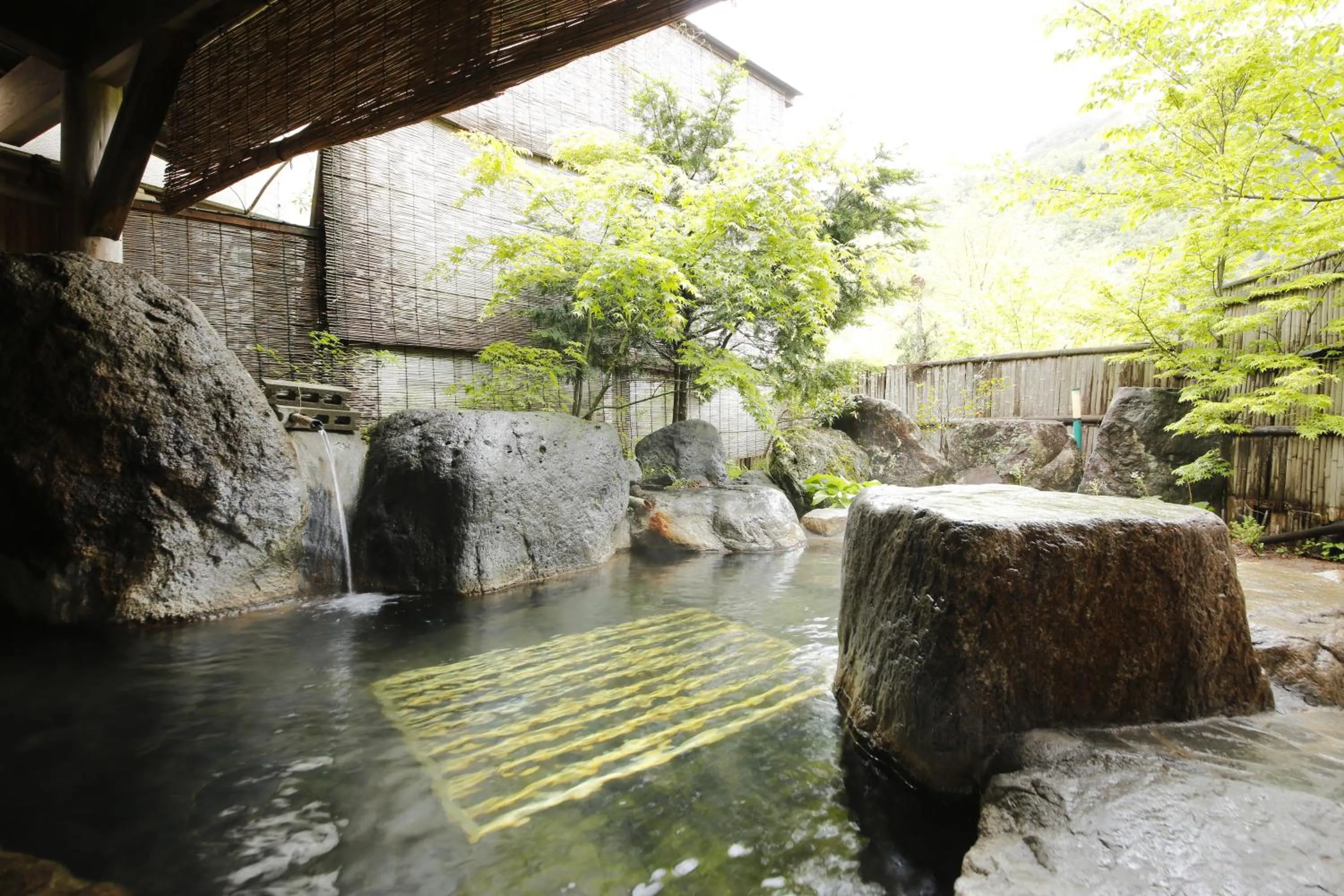 Hot Spring Bath in Matsunoi