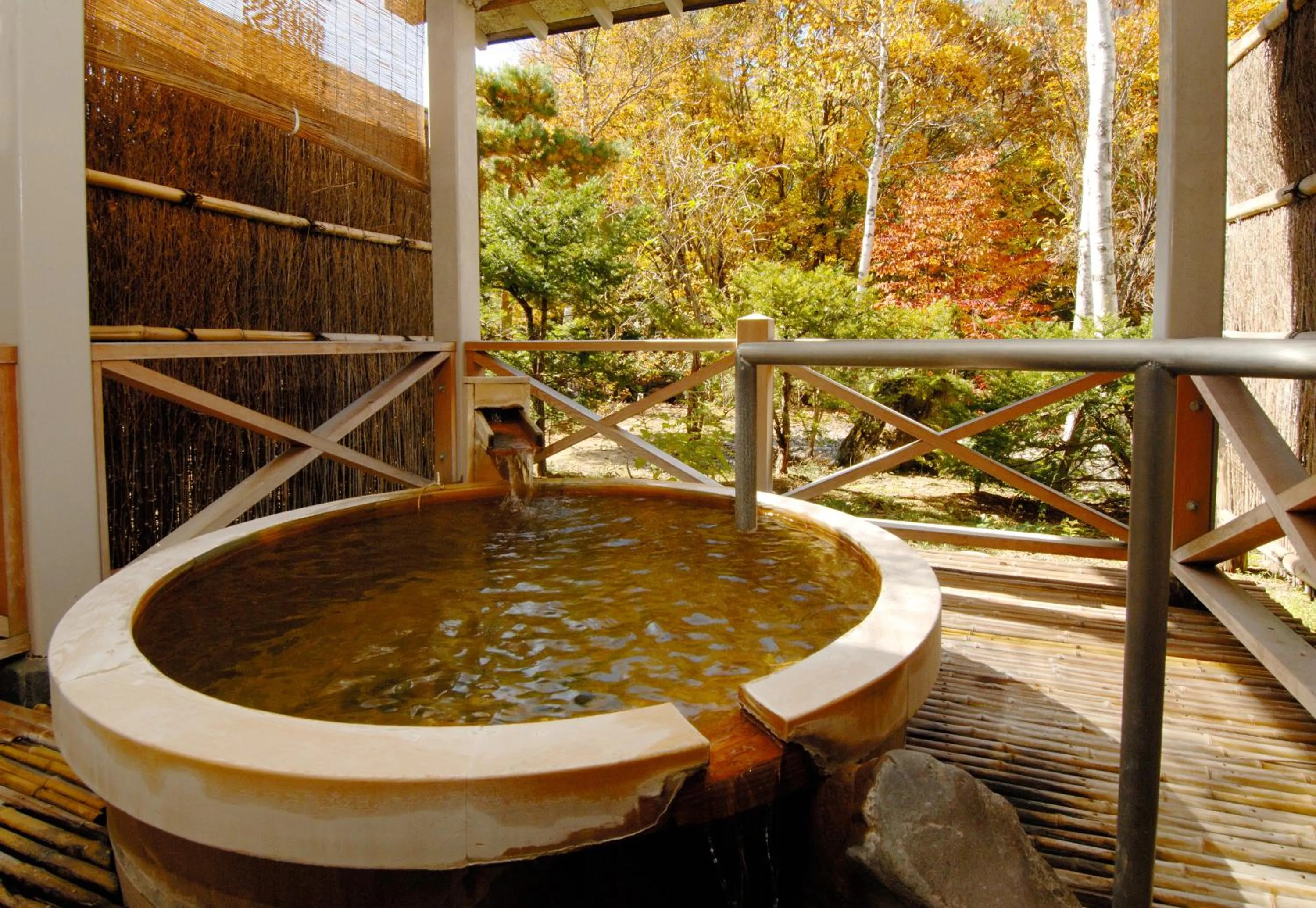 Hot Spring Bath in Matsunoi