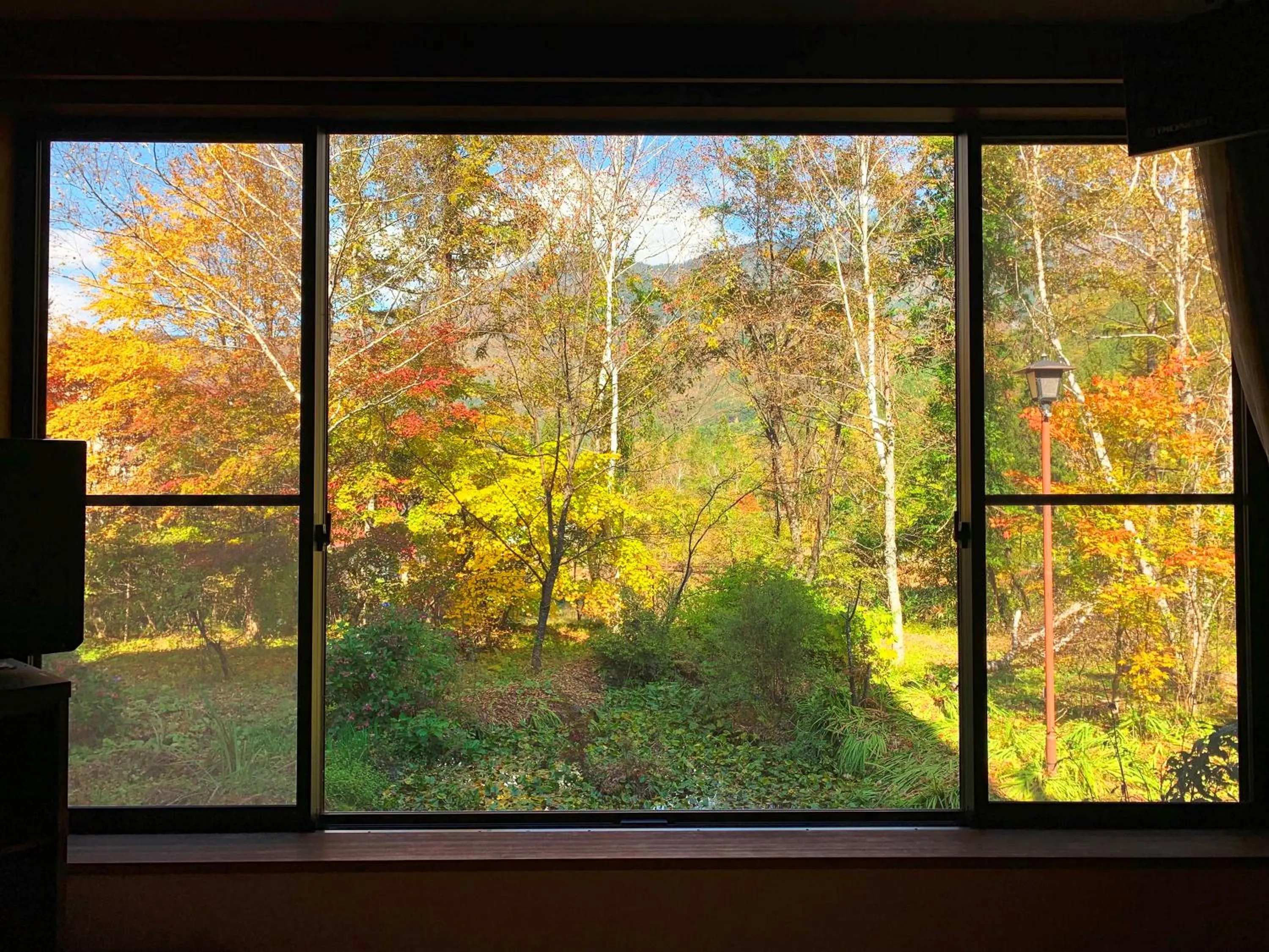 Communal lounge/ TV room in Matsunoi