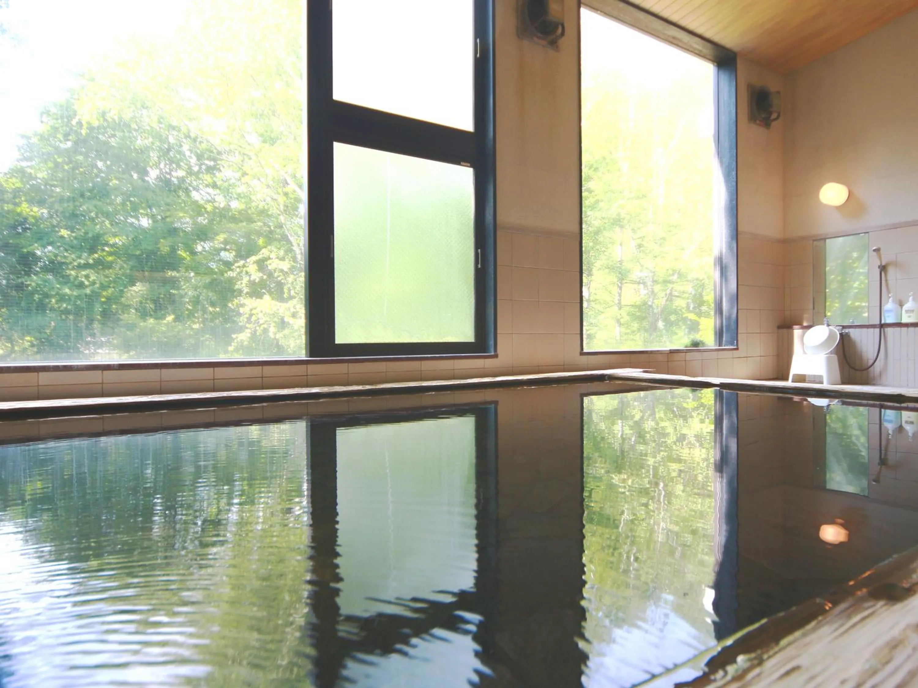 Hot Spring Bath in Matsunoi
