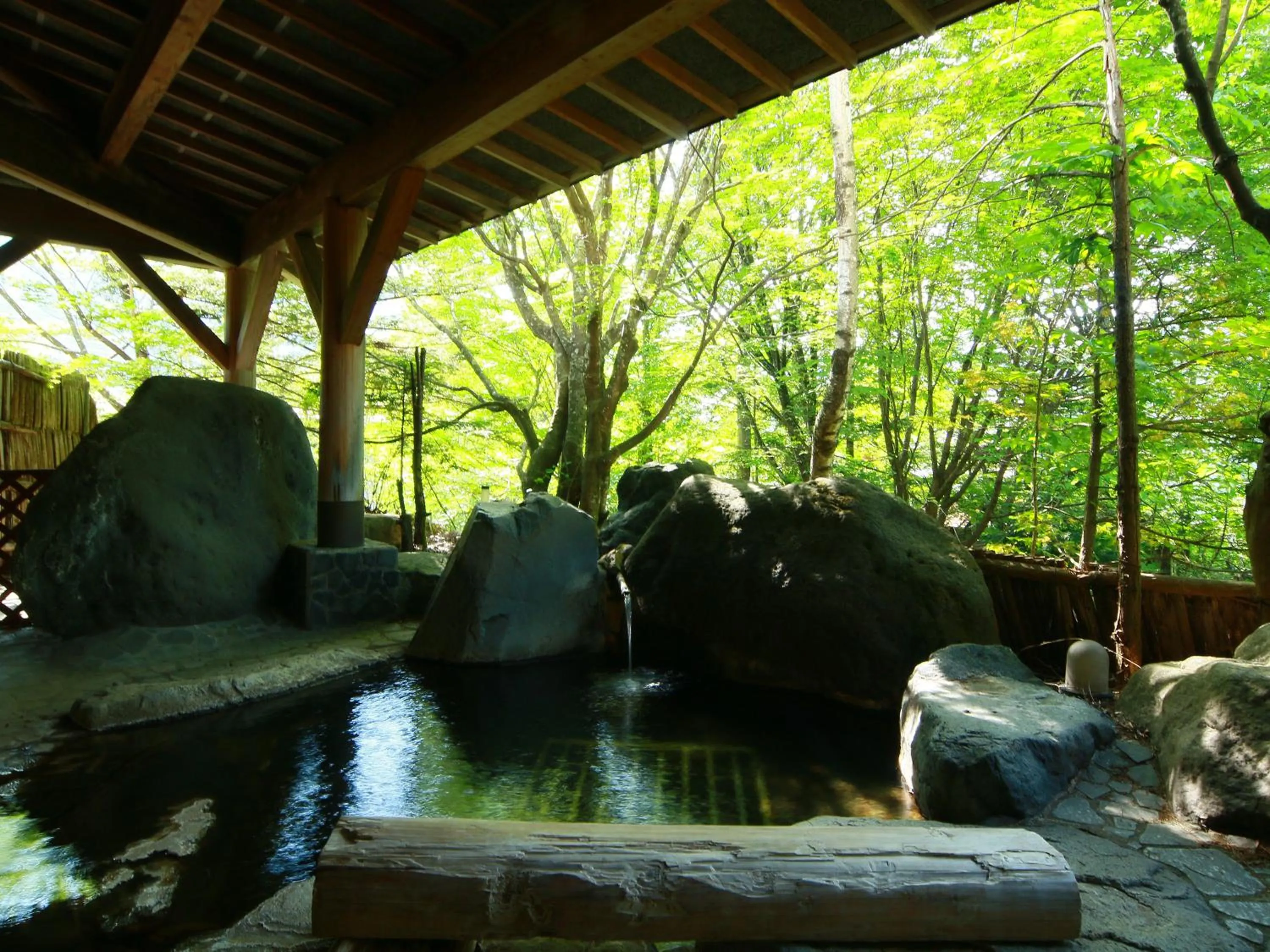 Natural landscape in Matsunoi