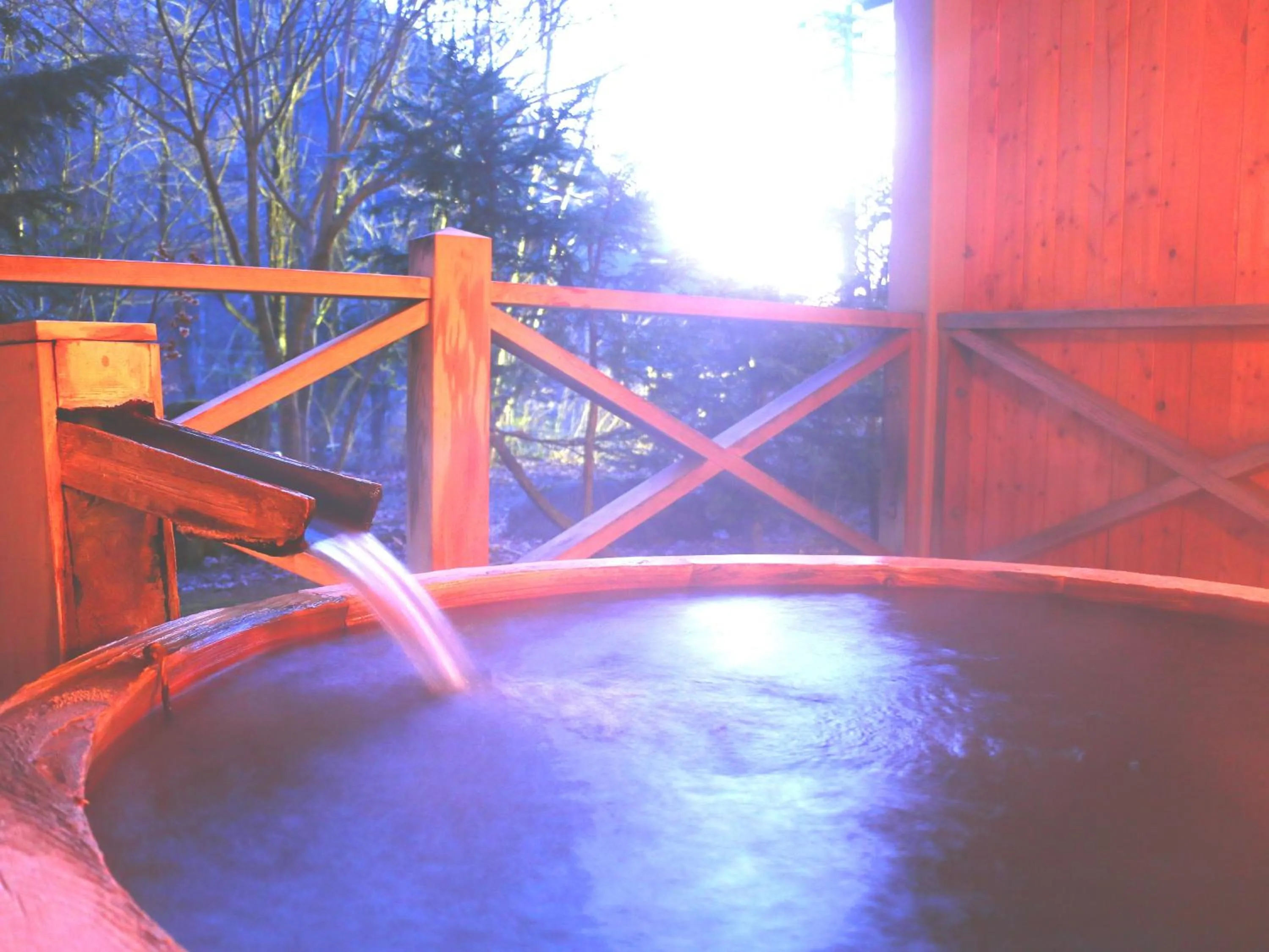 Hot Spring Bath in Matsunoi