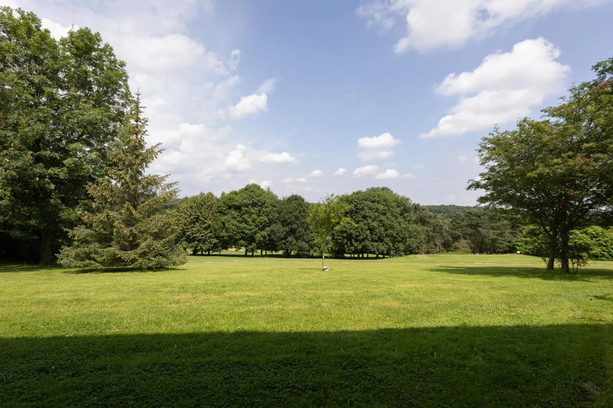 View (from property/room) in The View