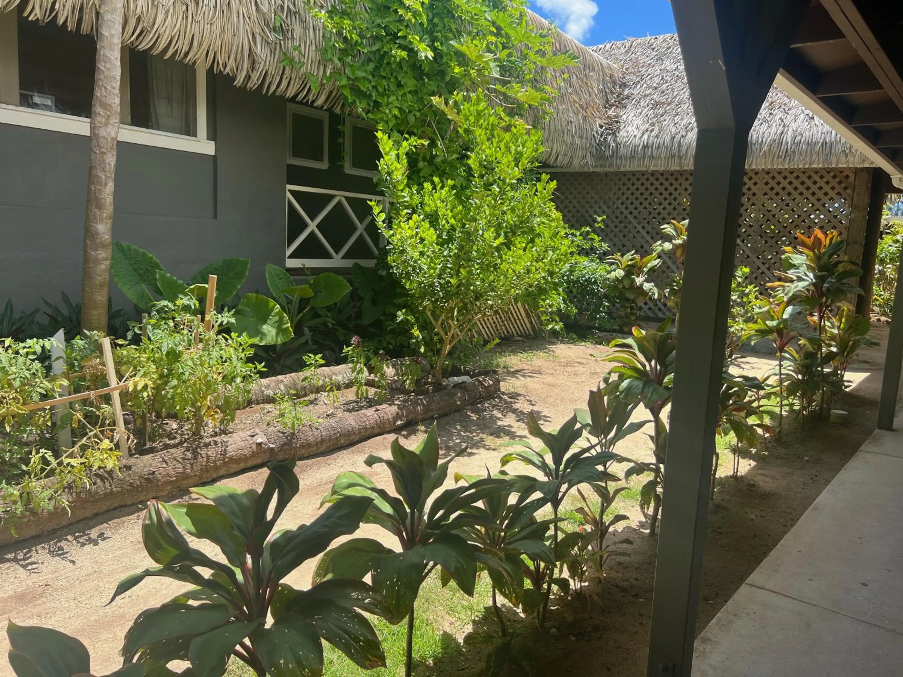Garden view in Club Raro Resort- Adults Only