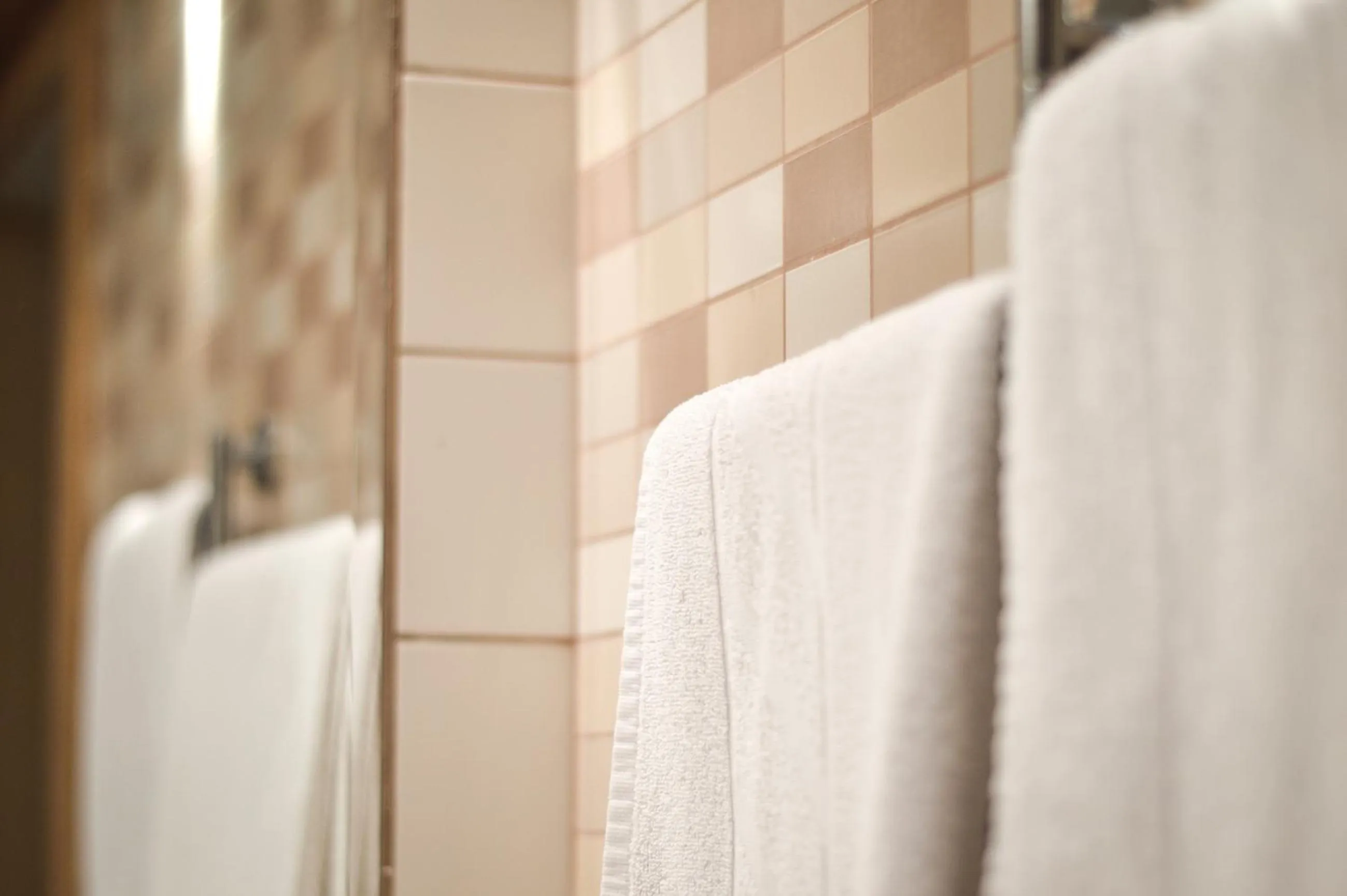 Decorative detail in Cafe Hotel Rudzons