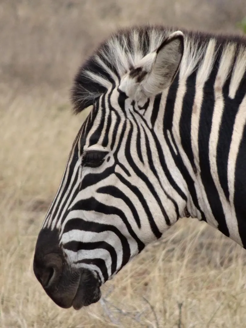 Natural landscape in La Lechere Guest House
