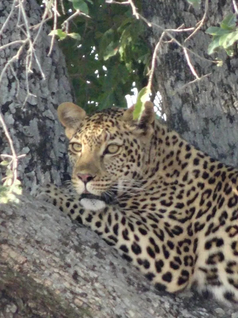 Natural landscape in La Lechere Guest House