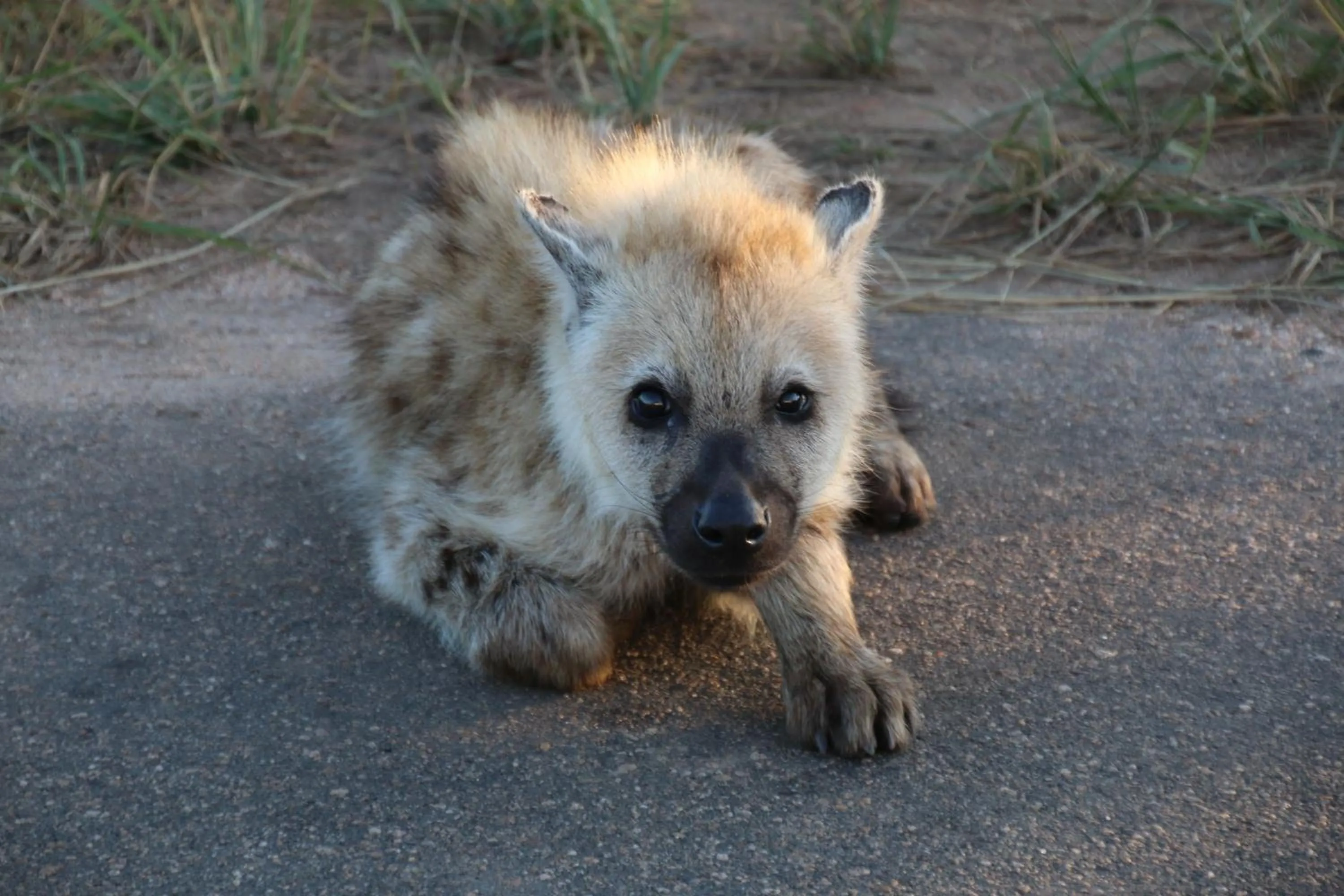 Natural landscape in La Lechere Guest House