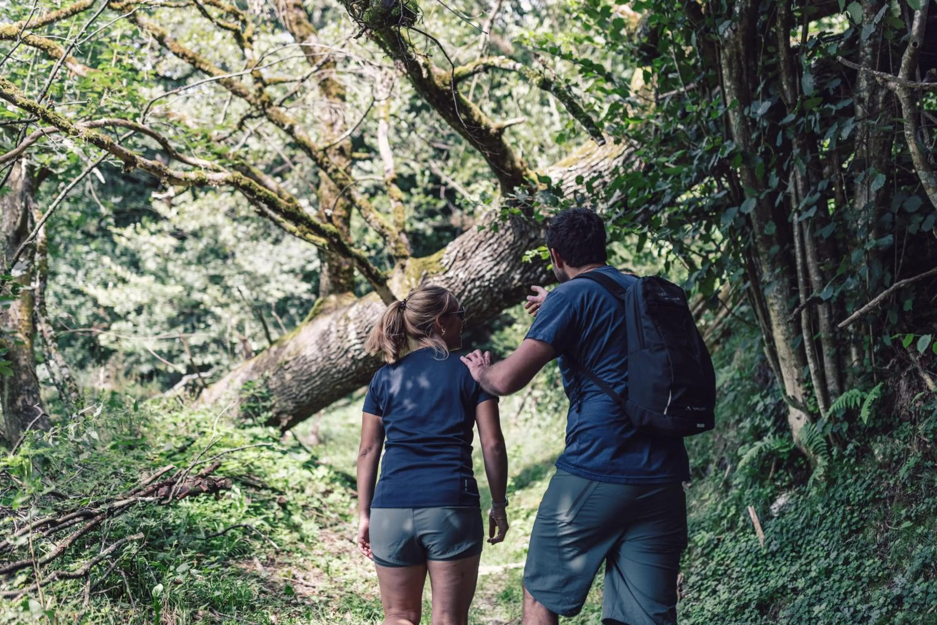 Hiking in Hotel - Gasthof Märzenklamm