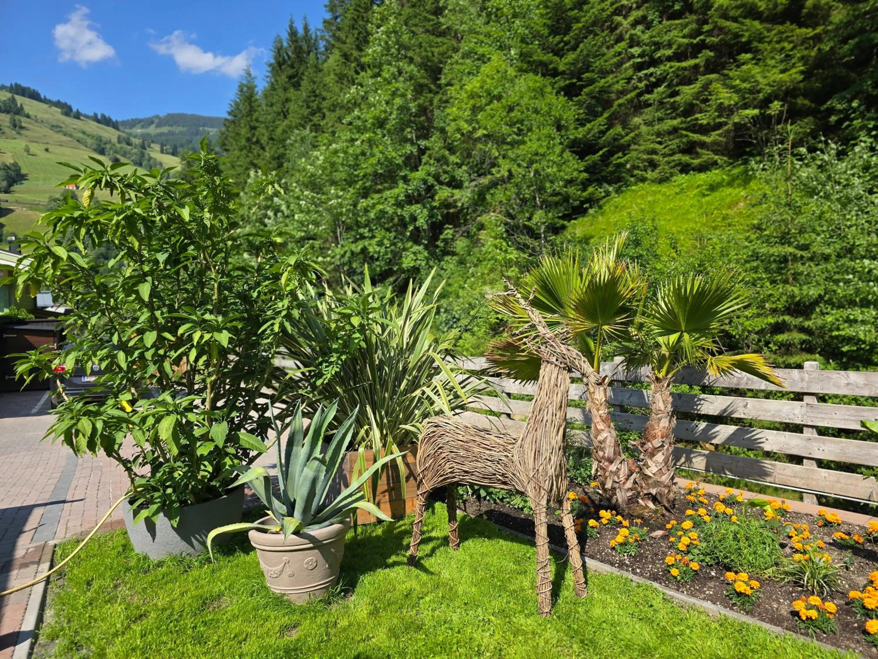 Natural landscape in Pension Lederergütl - Jokercard & Parkplatz inkl