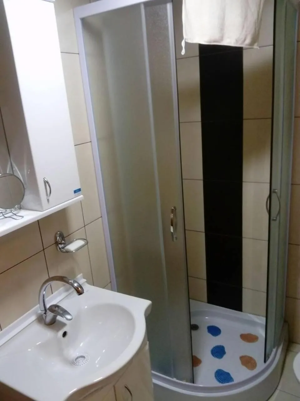 Shower in Apartment Laća