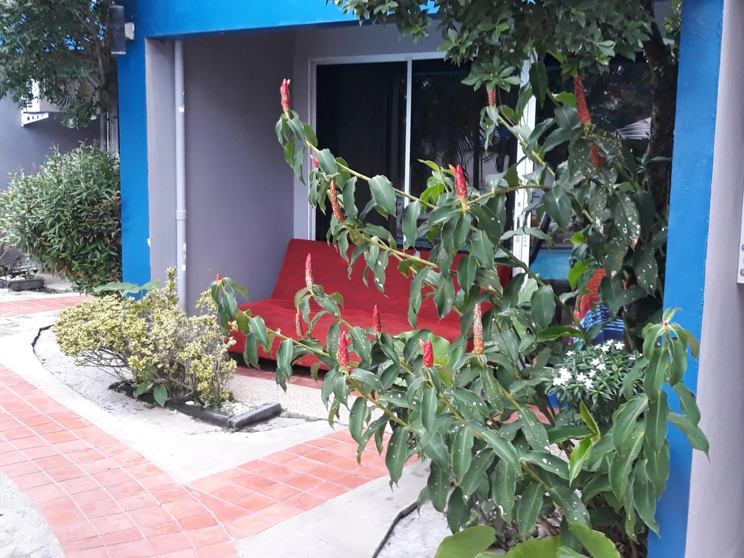 Garden view in PorterHouse Beach Hotel