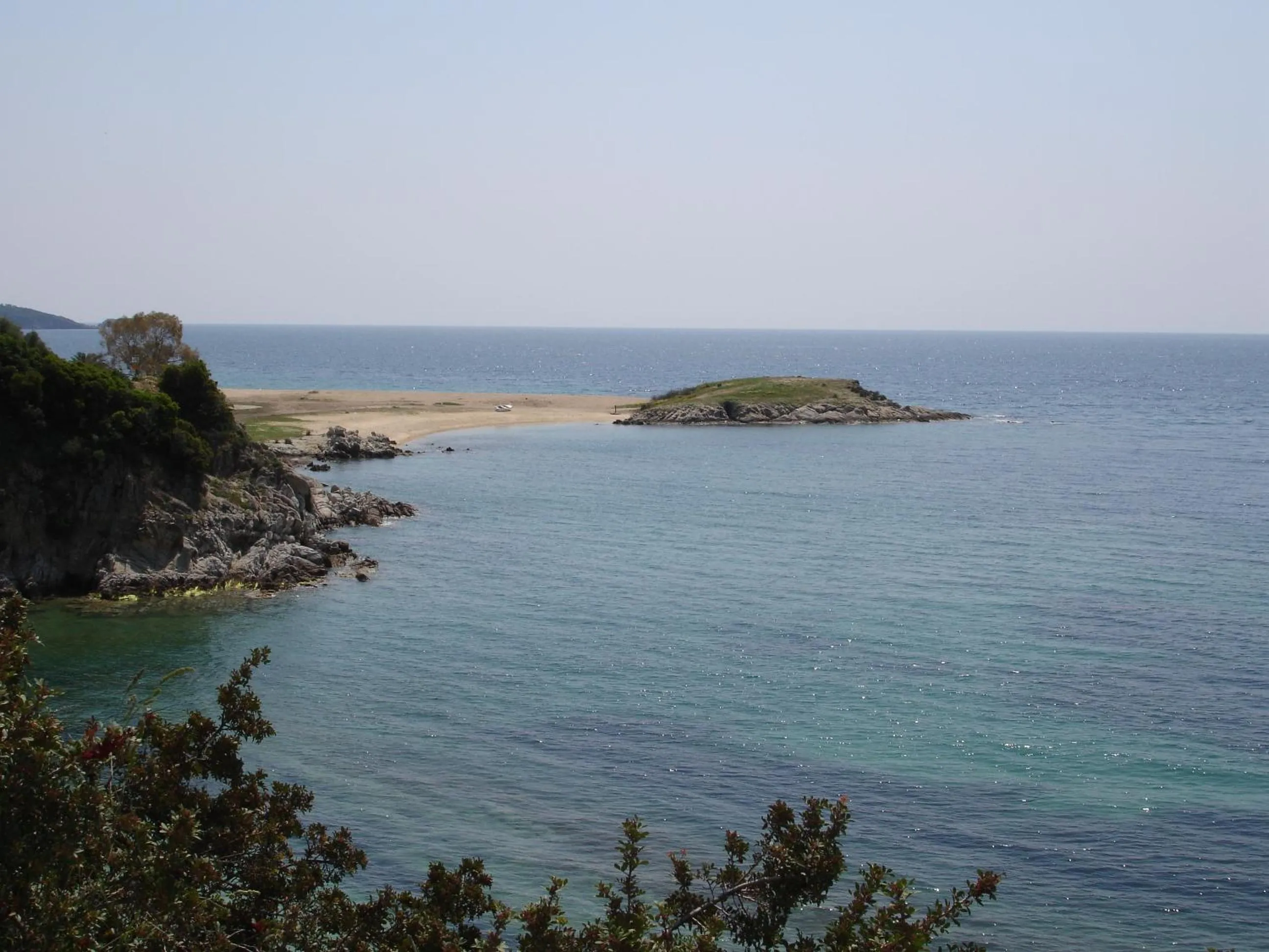 Area and facilities in Hotel Nestor