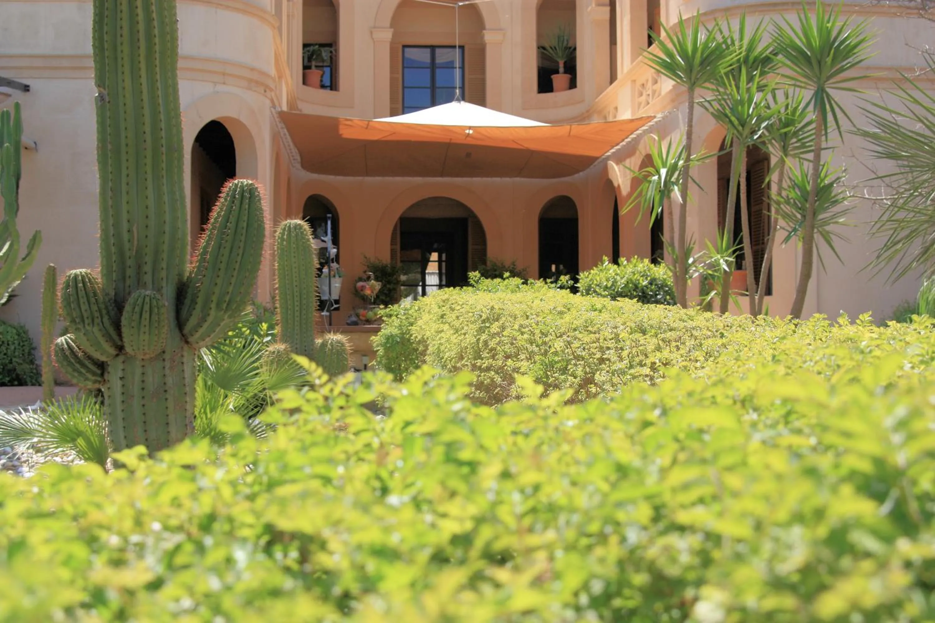 Facade/entrance in Palacio Sant Salvador