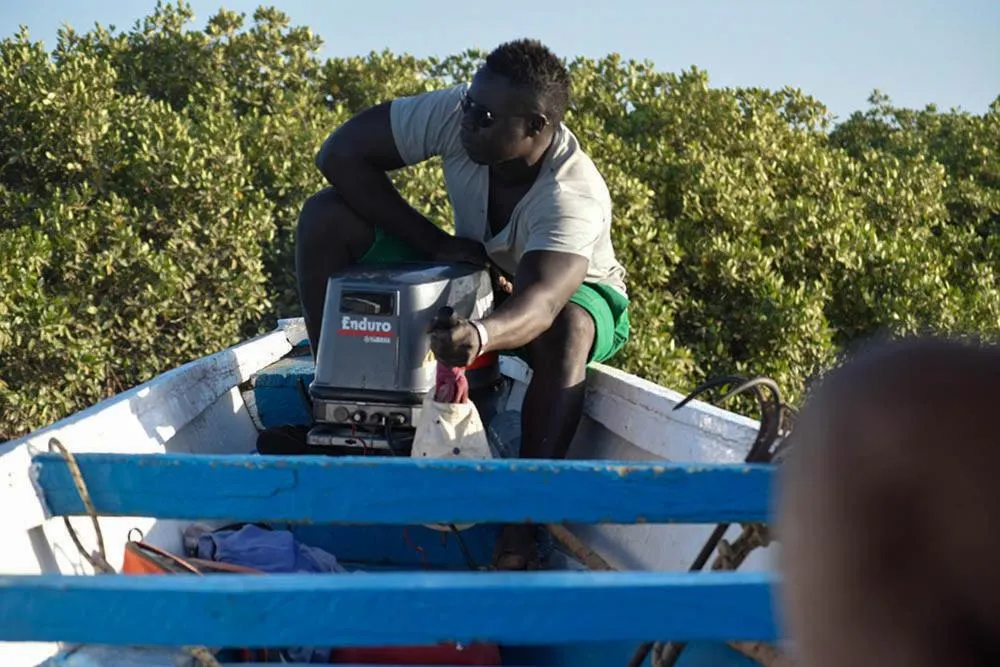 Hôtel Les Cordons Bleus