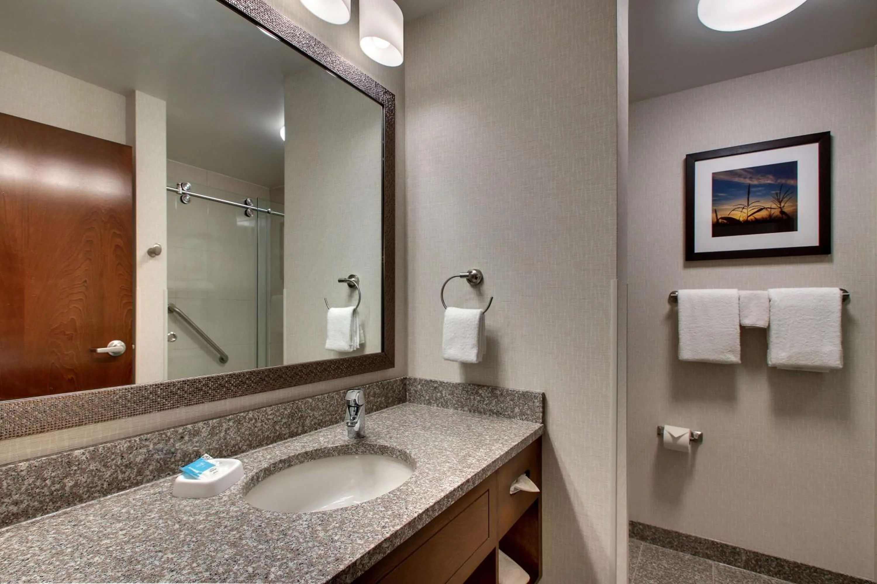 Bathroom in Drury Inn & Suites Iowa City Coralville