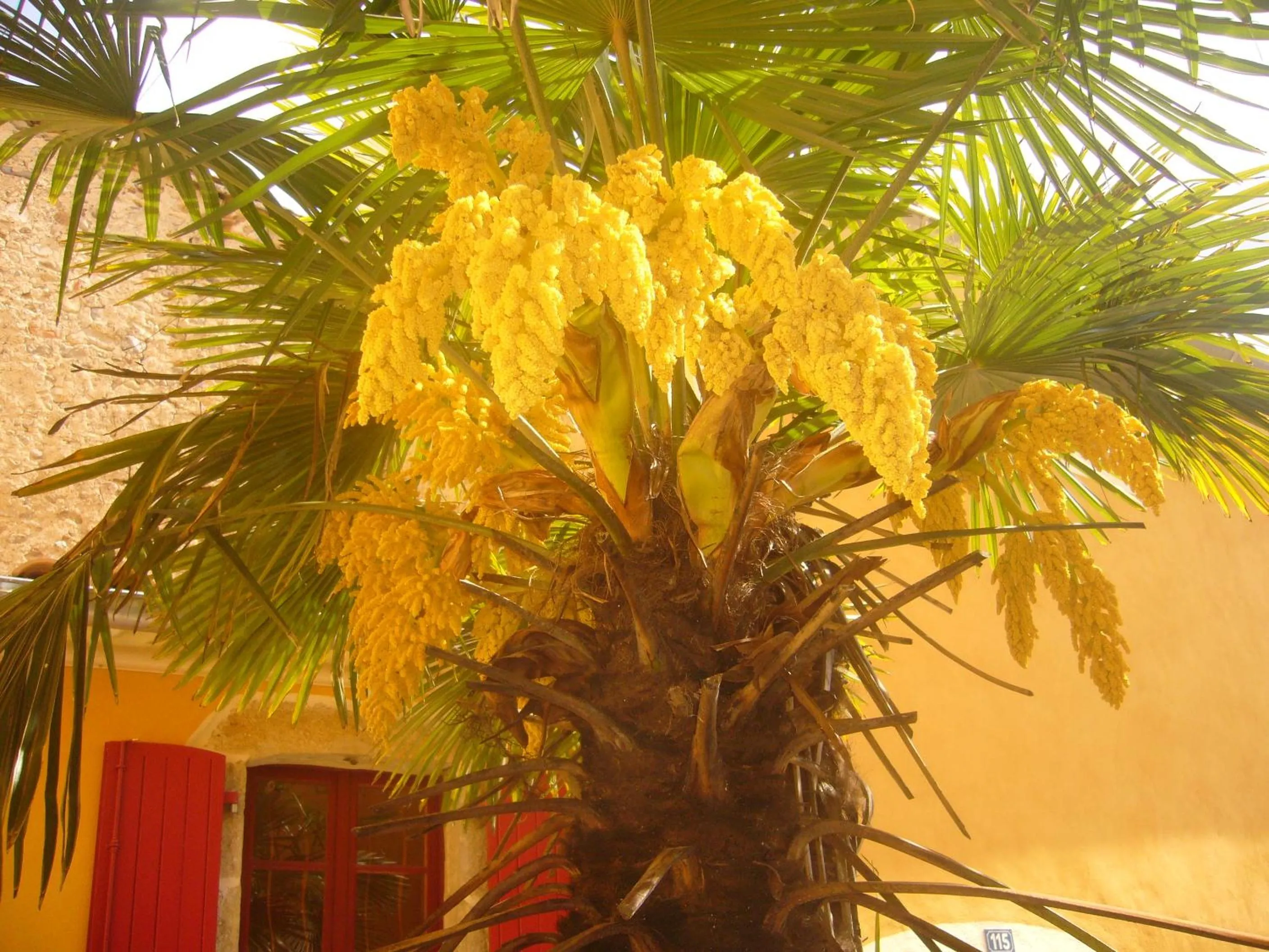 Other in Hotel l'Oronge