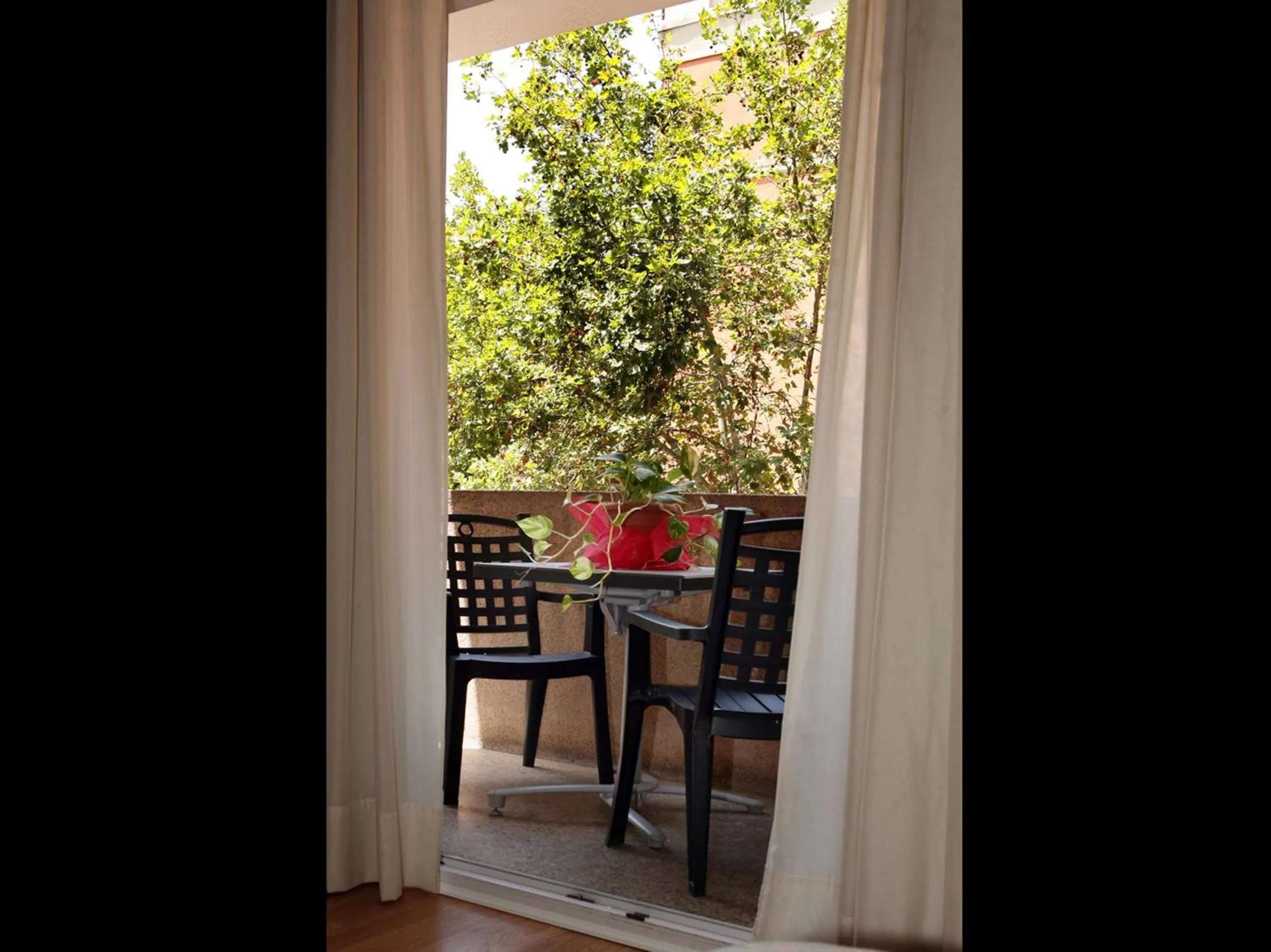 Decorative detail in Vernisa