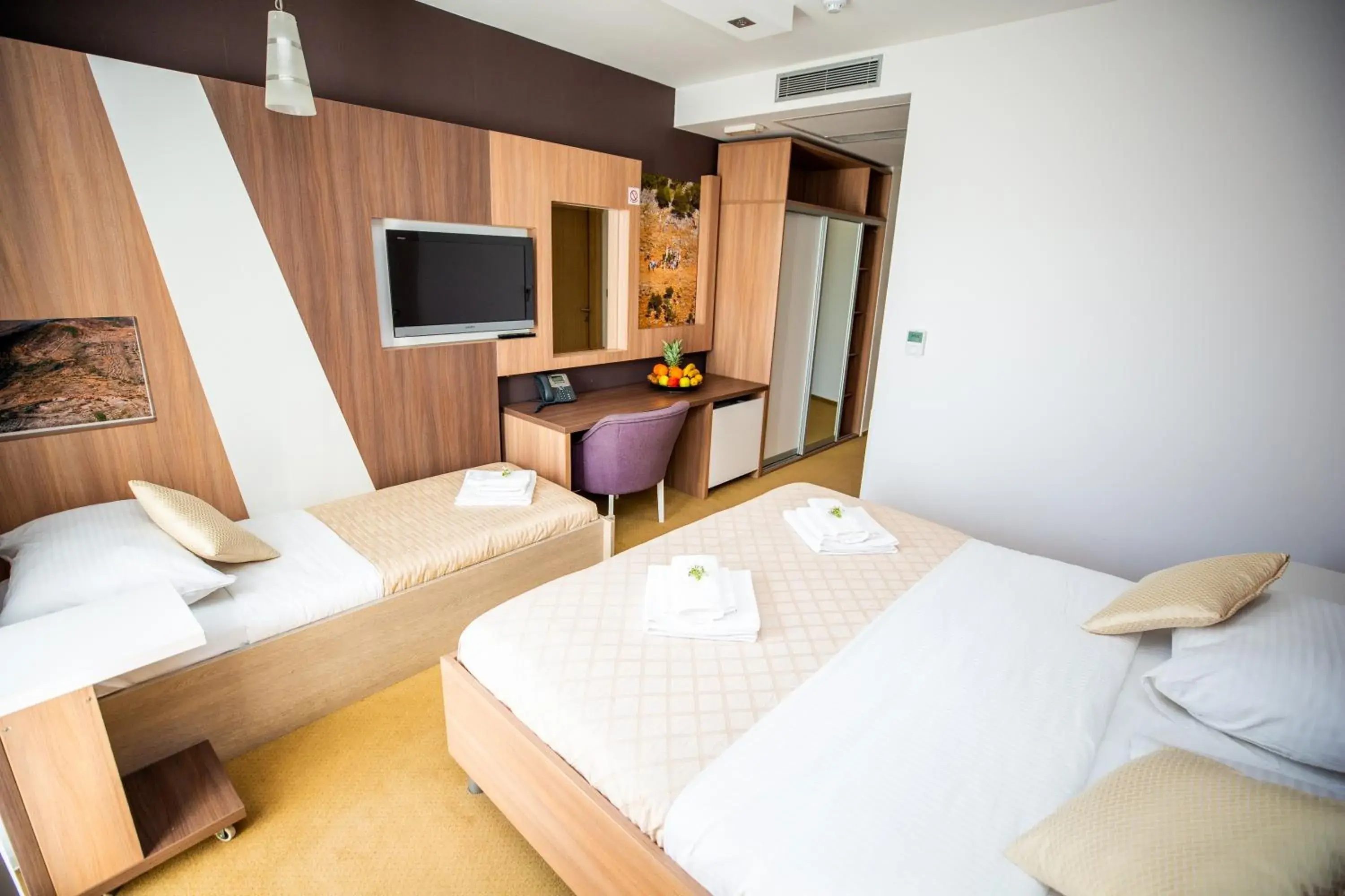 Standard Family Room - single occupancy in Hotel Herceg Standard Family Room - single occupancy in Hotel Herceg