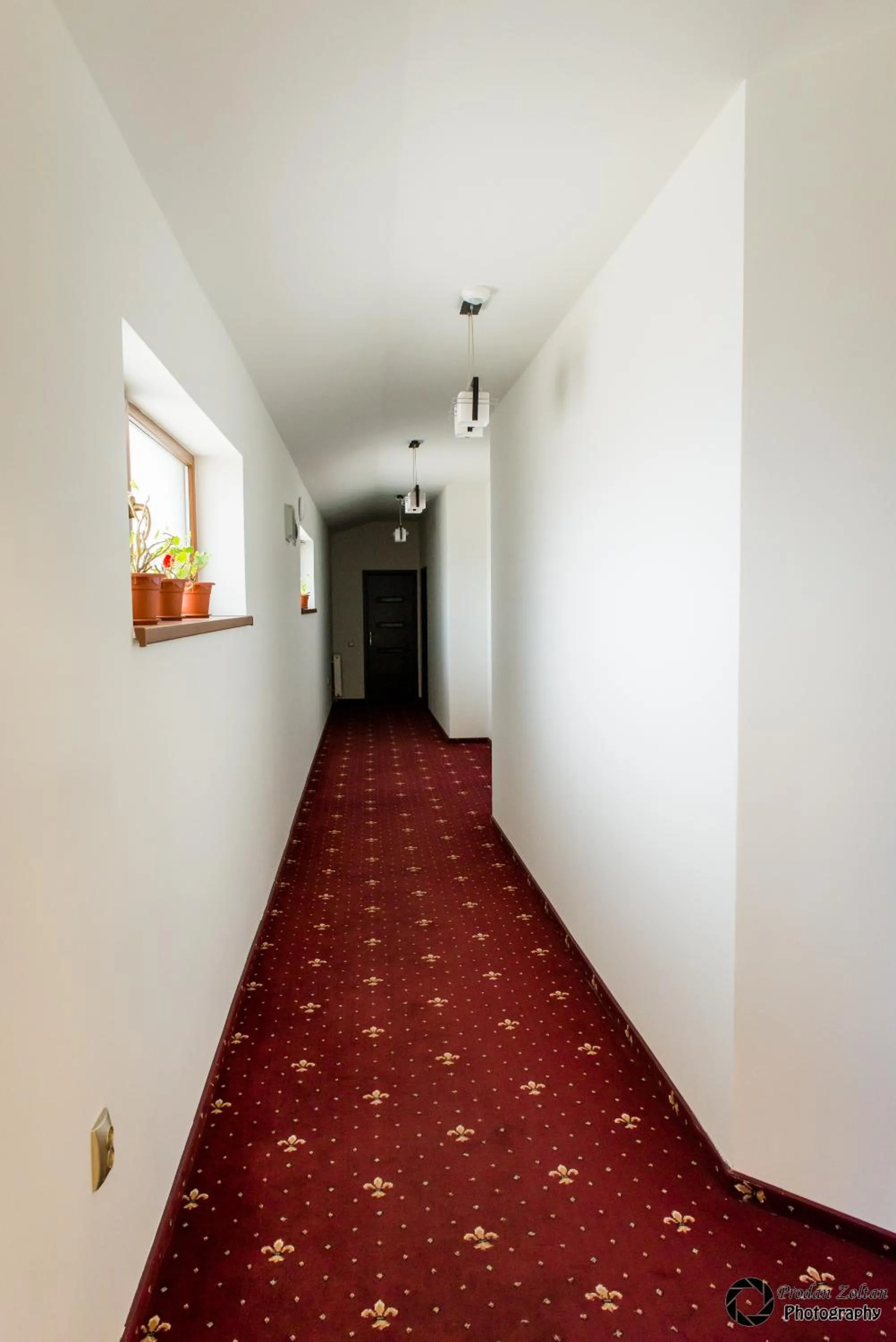 Other in Pensiunea Schwartz