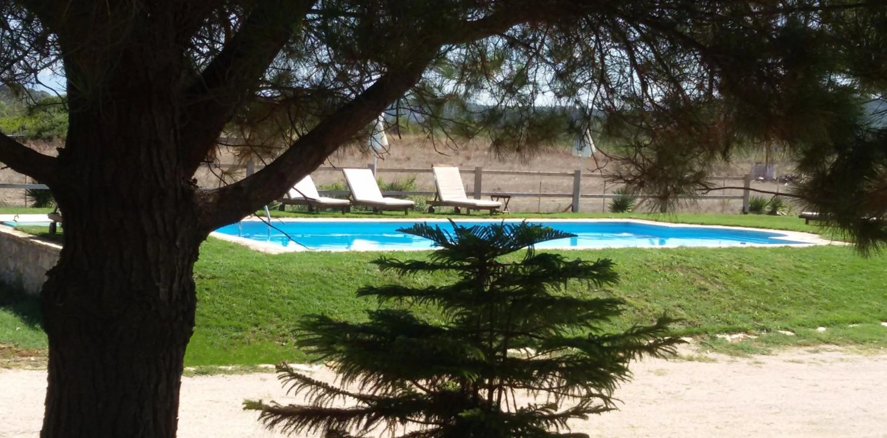 Elli Beach Apartments and Studios