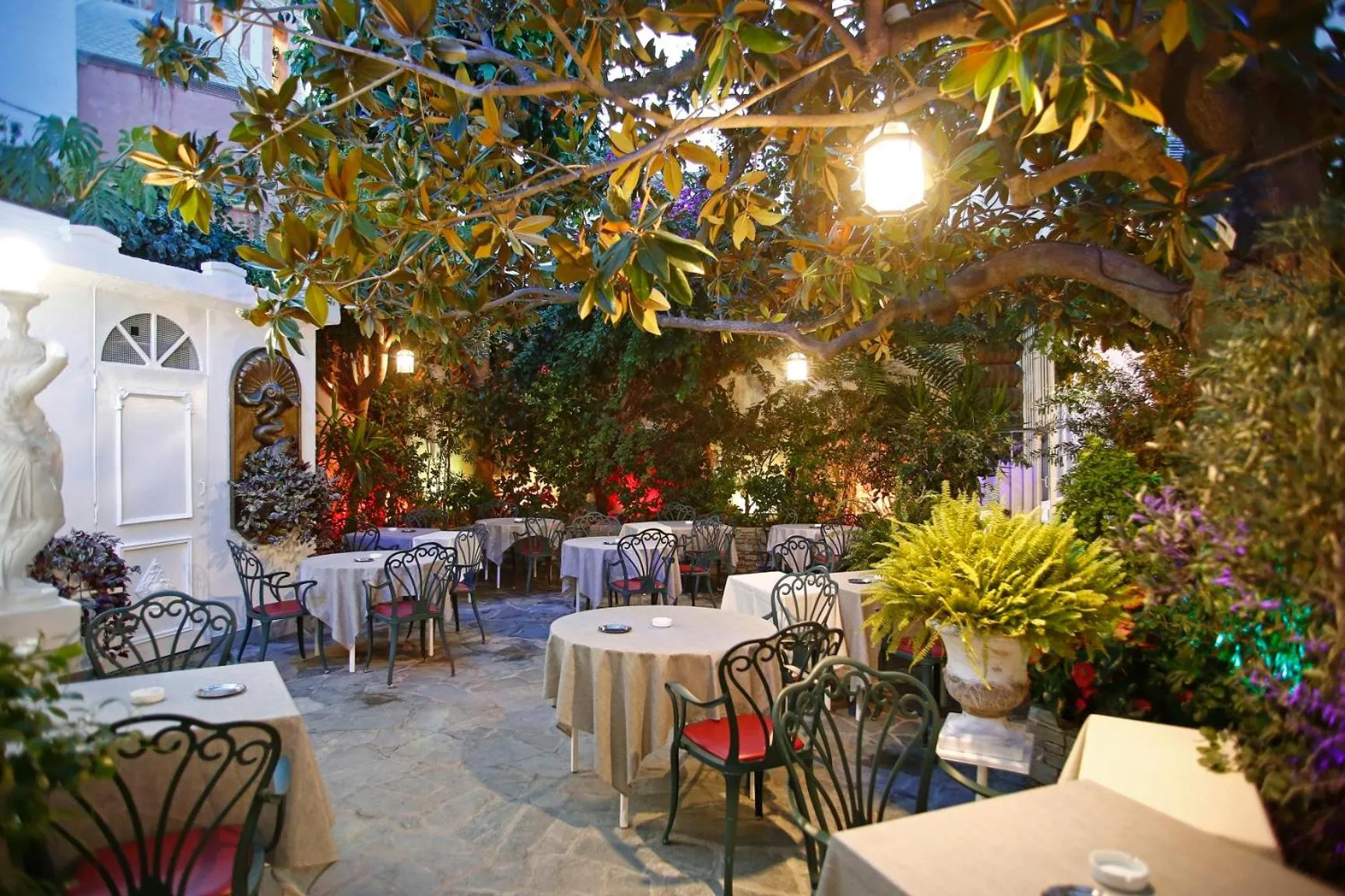 Patio in Le Magnolia