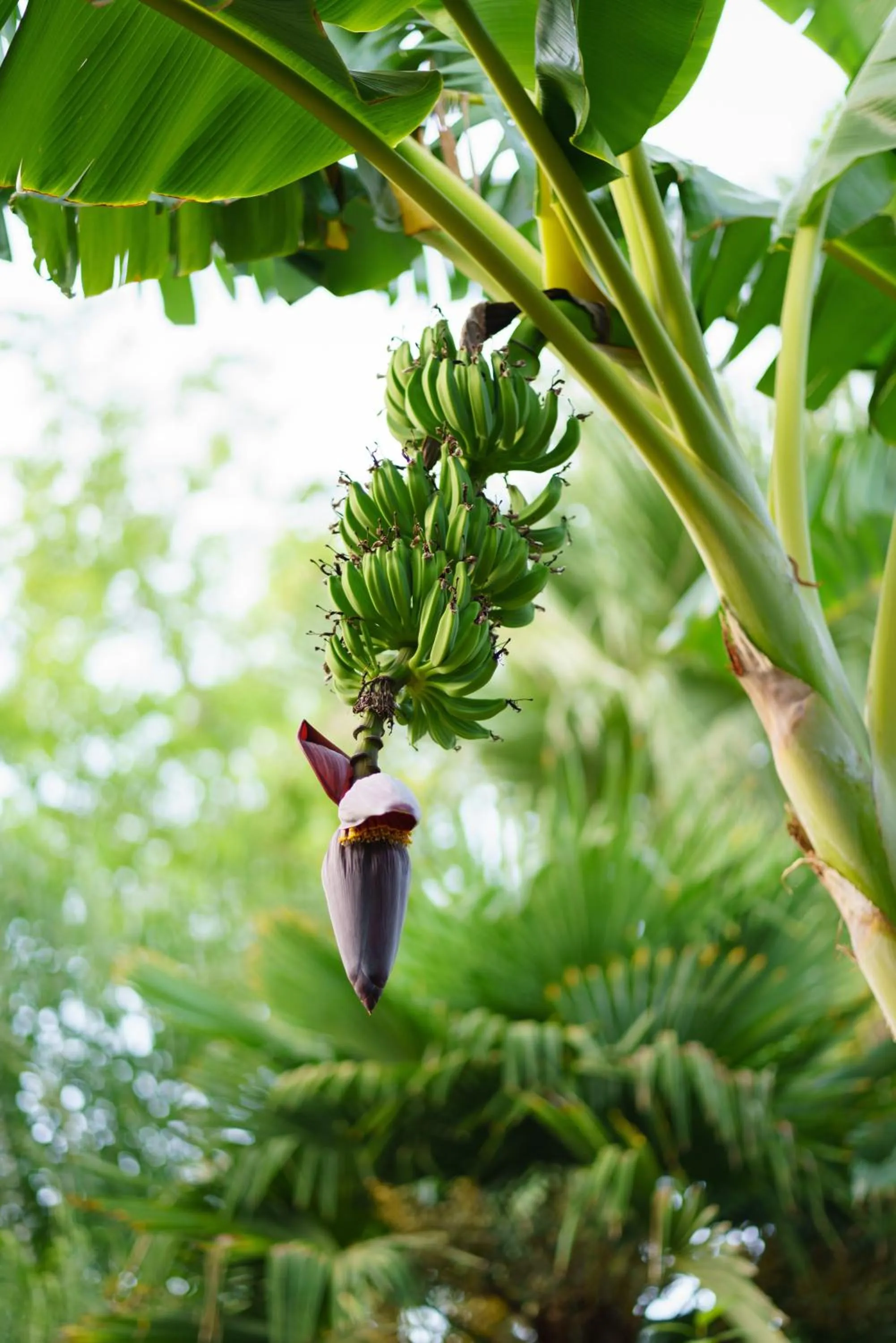 Rouda Bay Beach Hotel