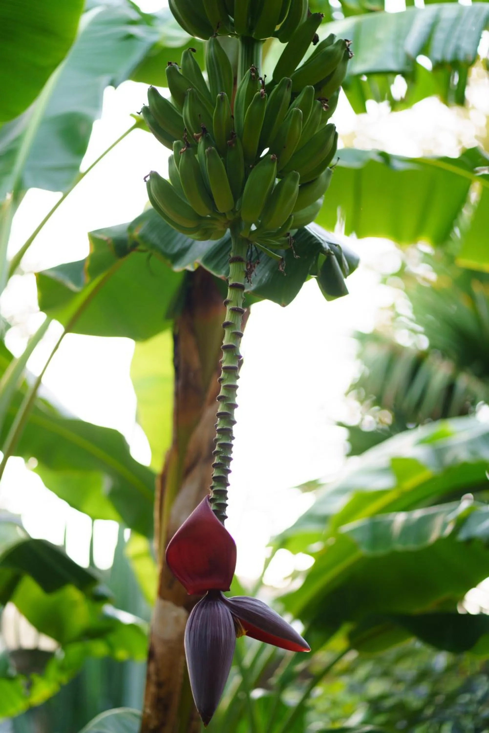 Rouda Bay Beach Hotel