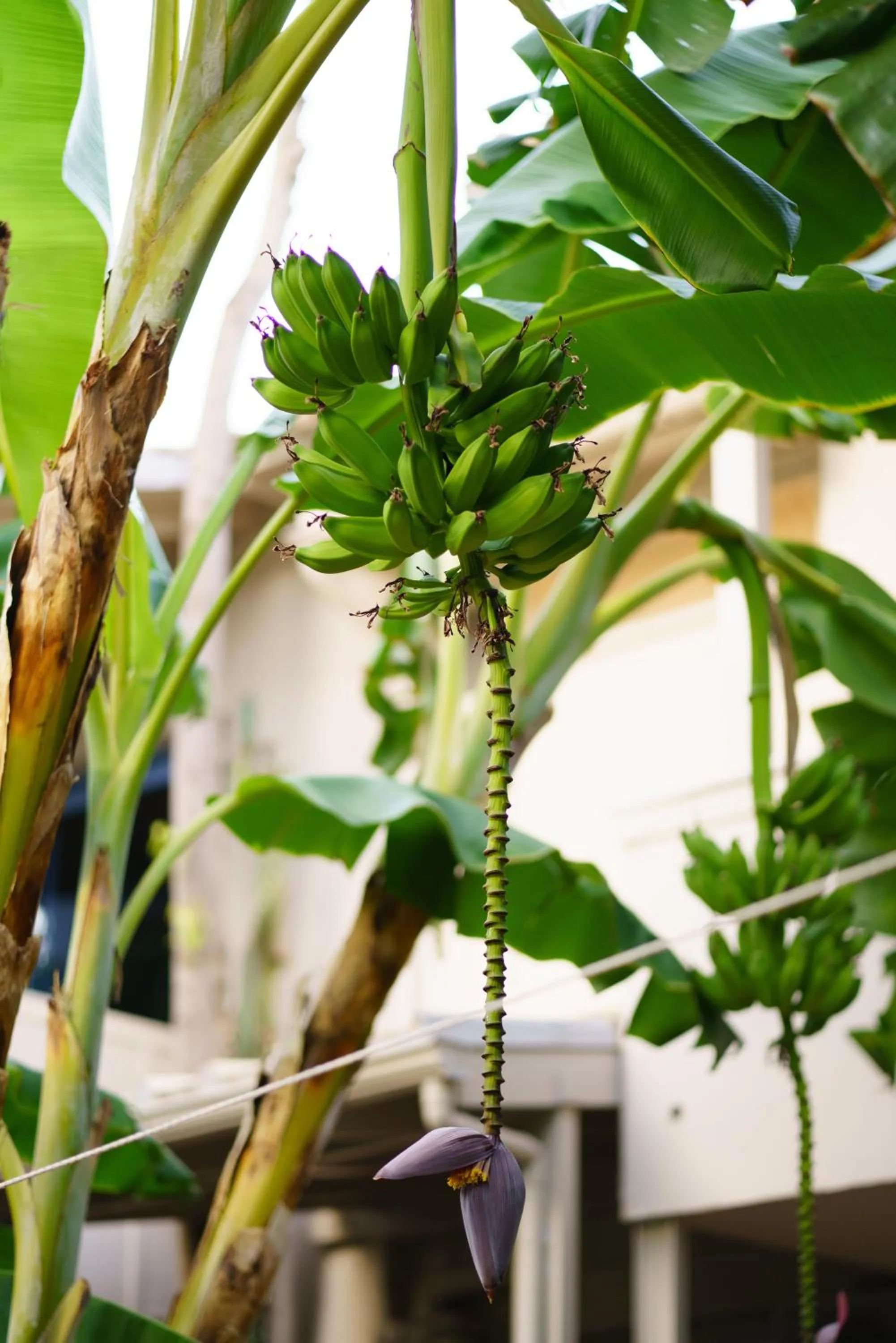 Rouda Bay Beach Hotel