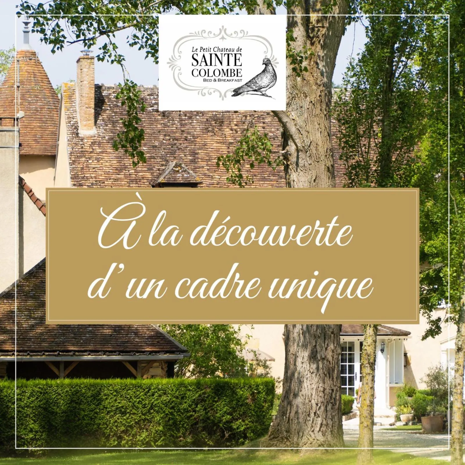 Natural landscape in Le Petit Chateau De Sainte Colombe