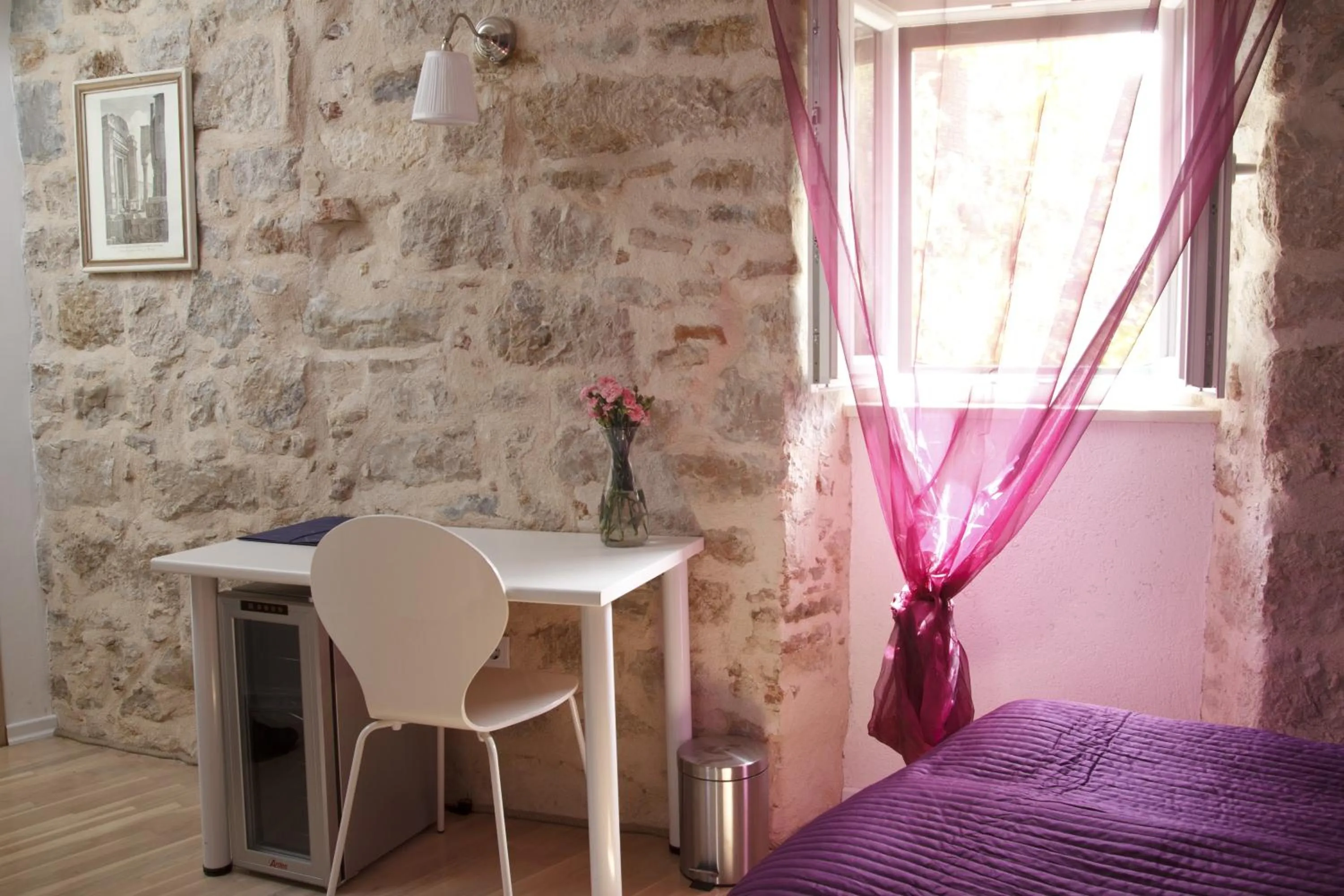 Area and facilities in Bed & Breakfast Vila Baguc