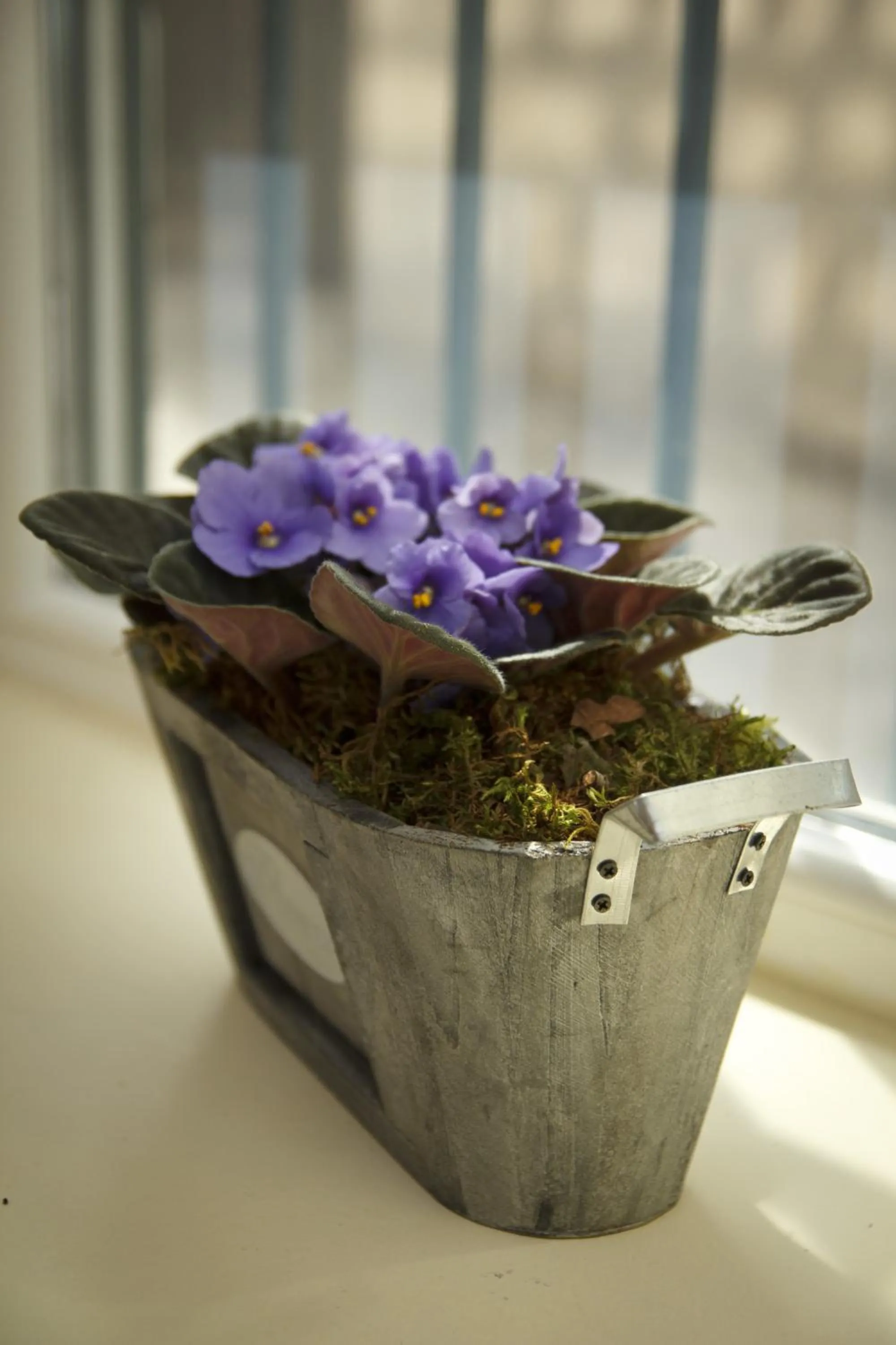 Decorative detail in Bed & Breakfast Vila Baguc