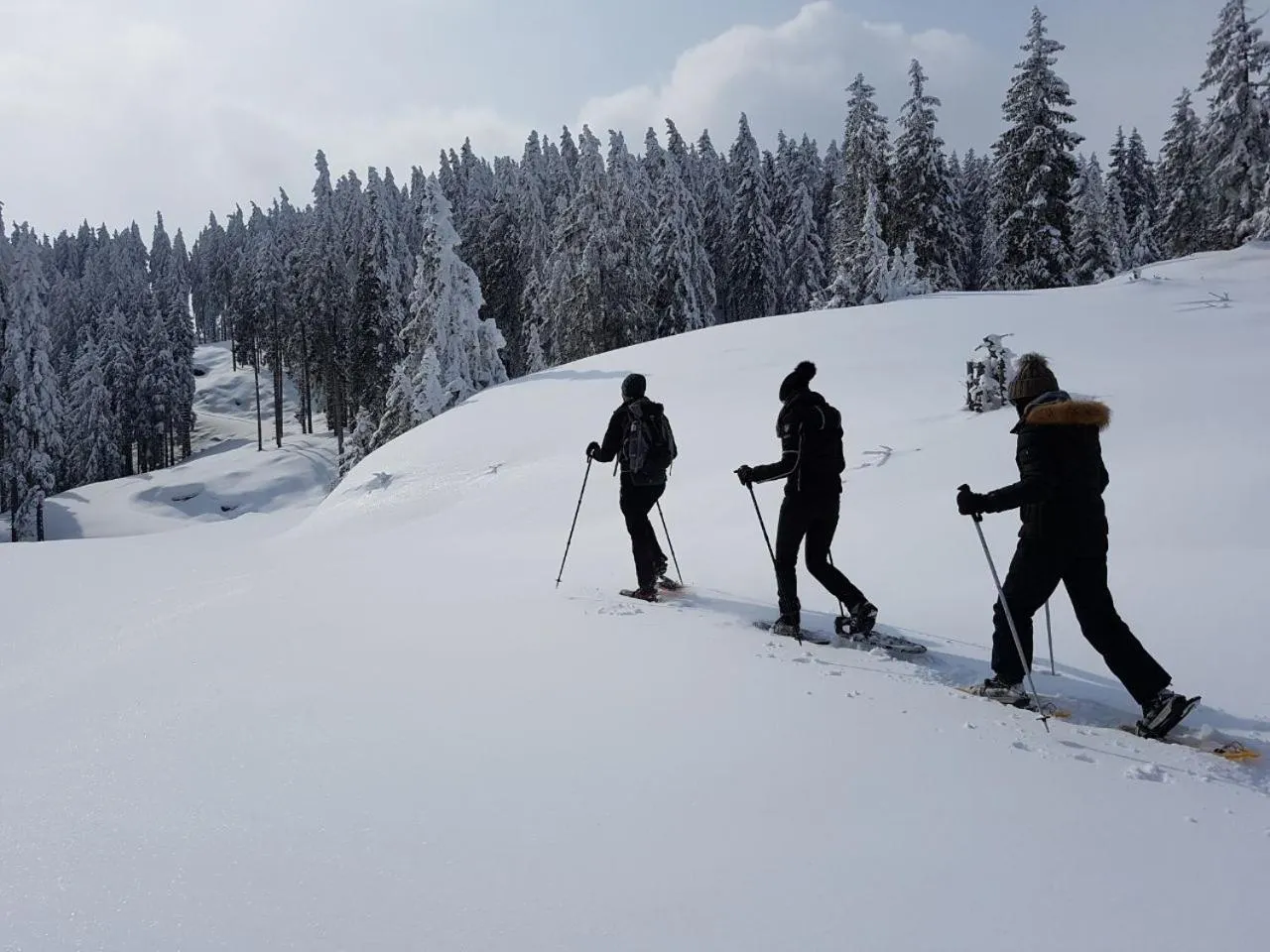 Day in Hotel Dorfgasthof Schlösslstube