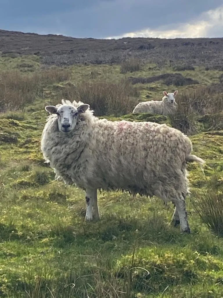 Spring in The Bridge Inn