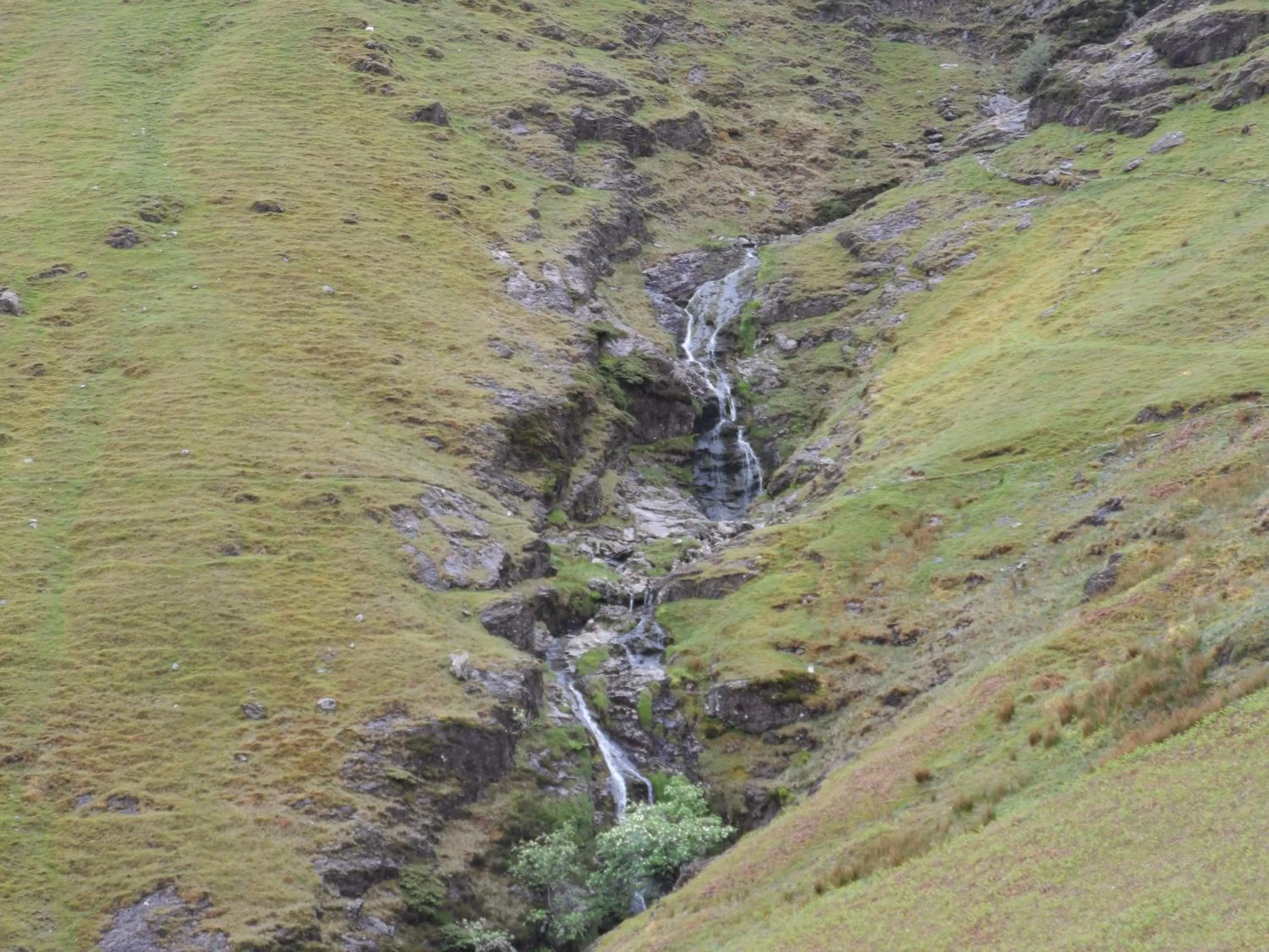 View (from property/room) in 3 Cambridge Villas