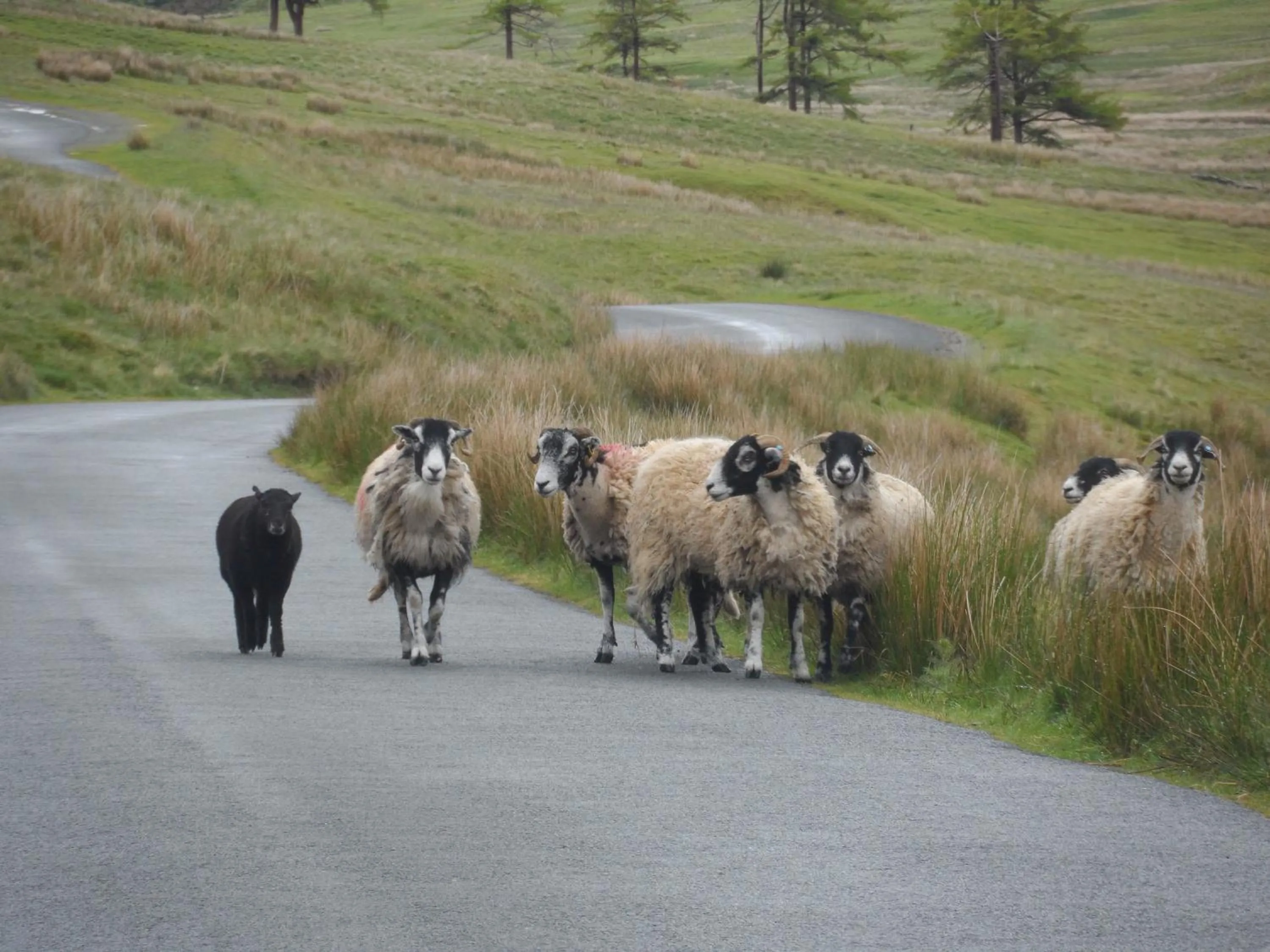 View (from property/room) in 3 Cambridge Villas