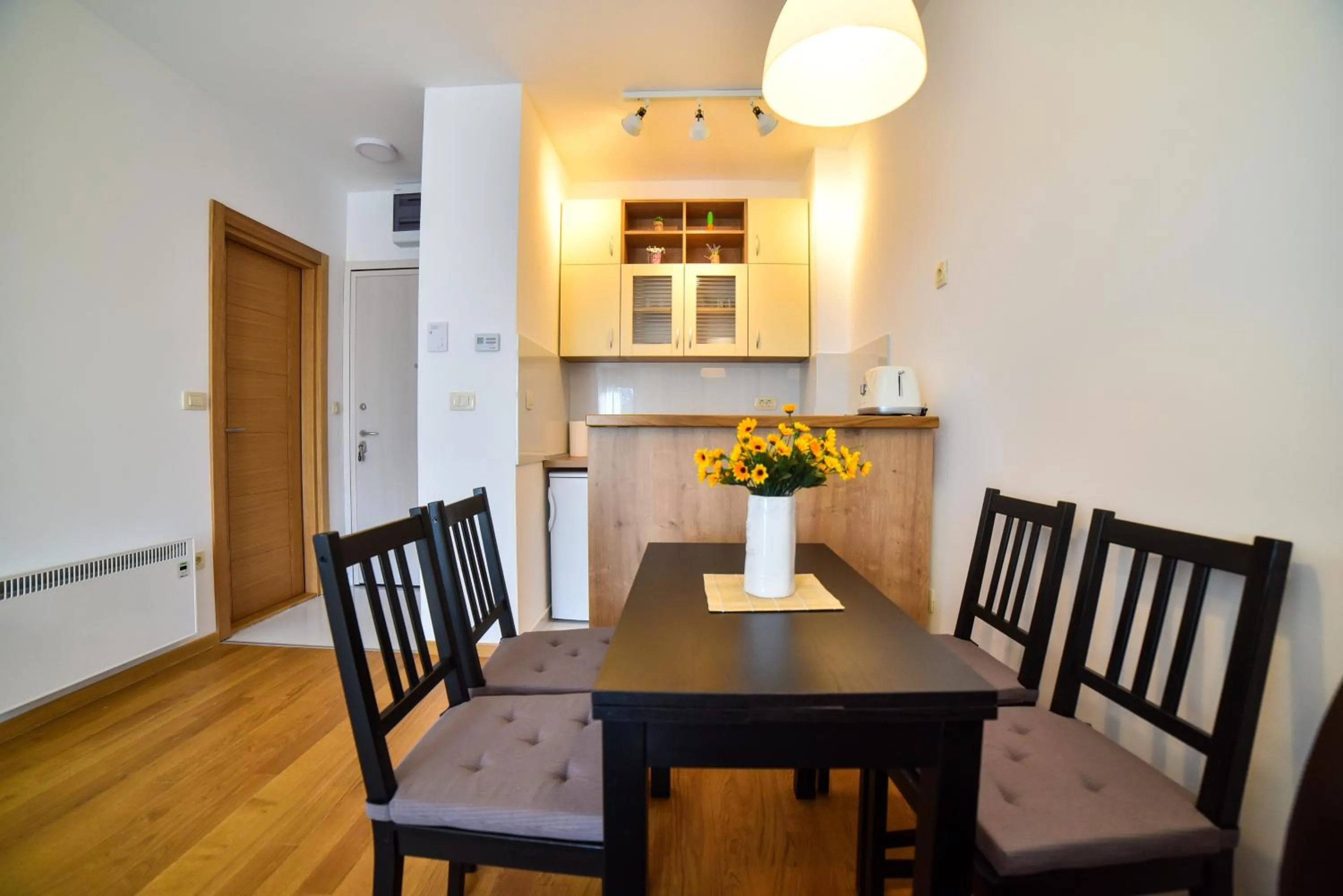 Kitchen or kitchenette in Balkan Hill Zlatibor