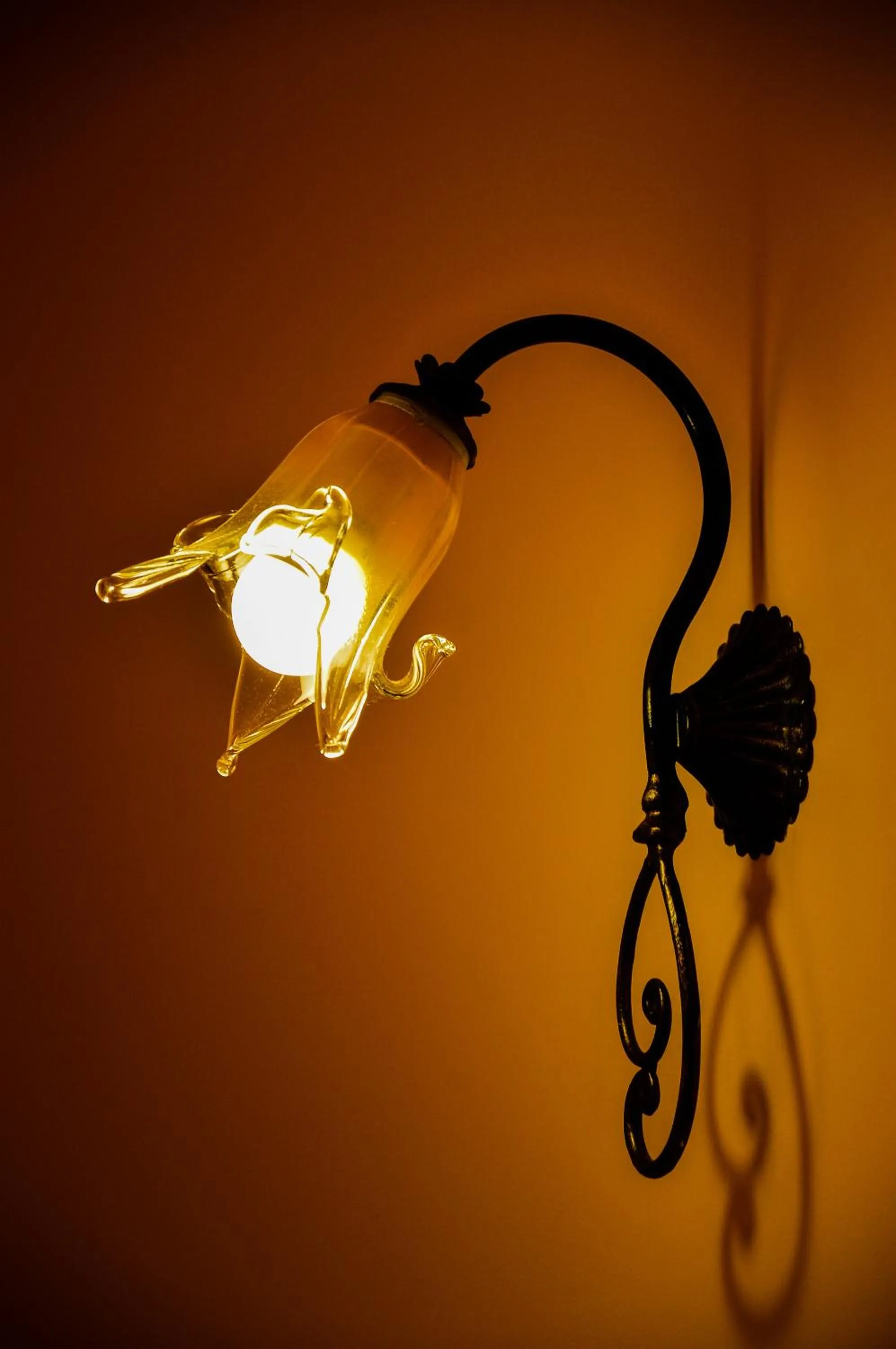 Decorative detail in Attinia