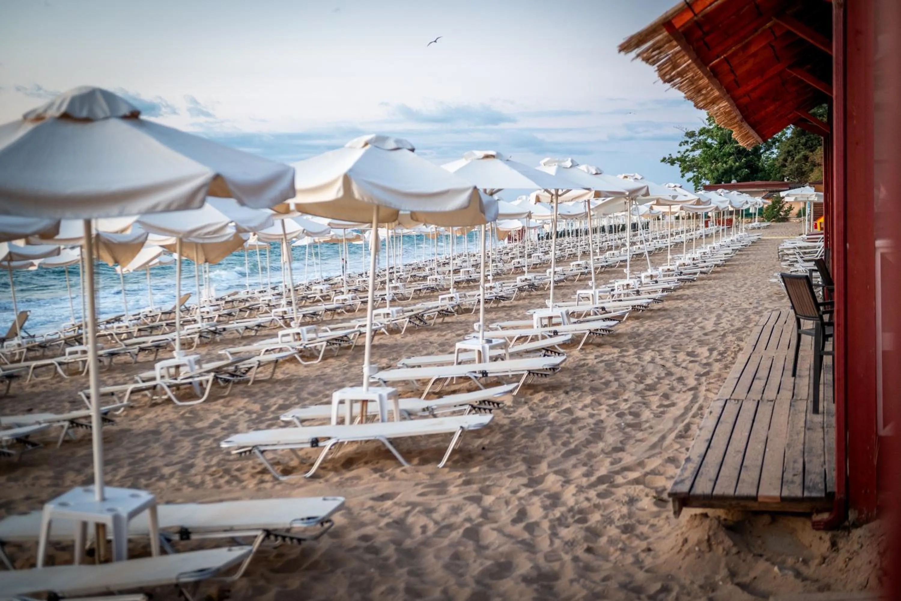 Beach in Astoria Hotel All Inclusive & Private Beach