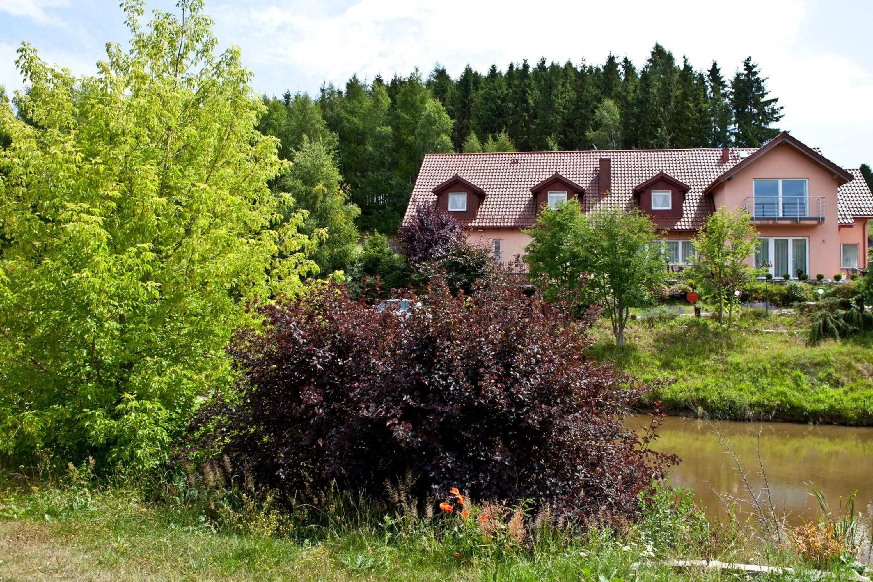 Natural landscape in Kaszuby Resort Zacisze