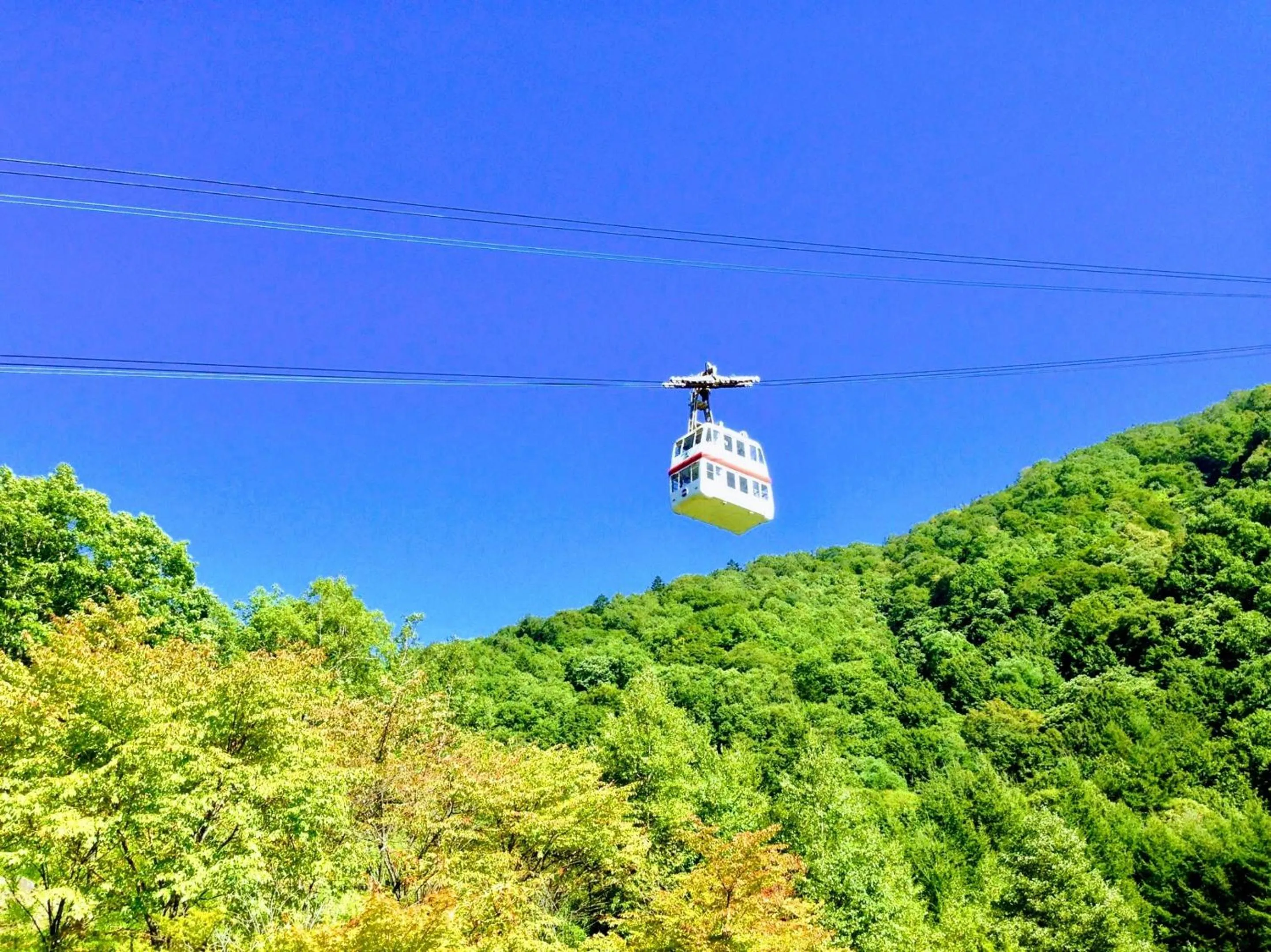 Nearby landmark in Hotel Hana