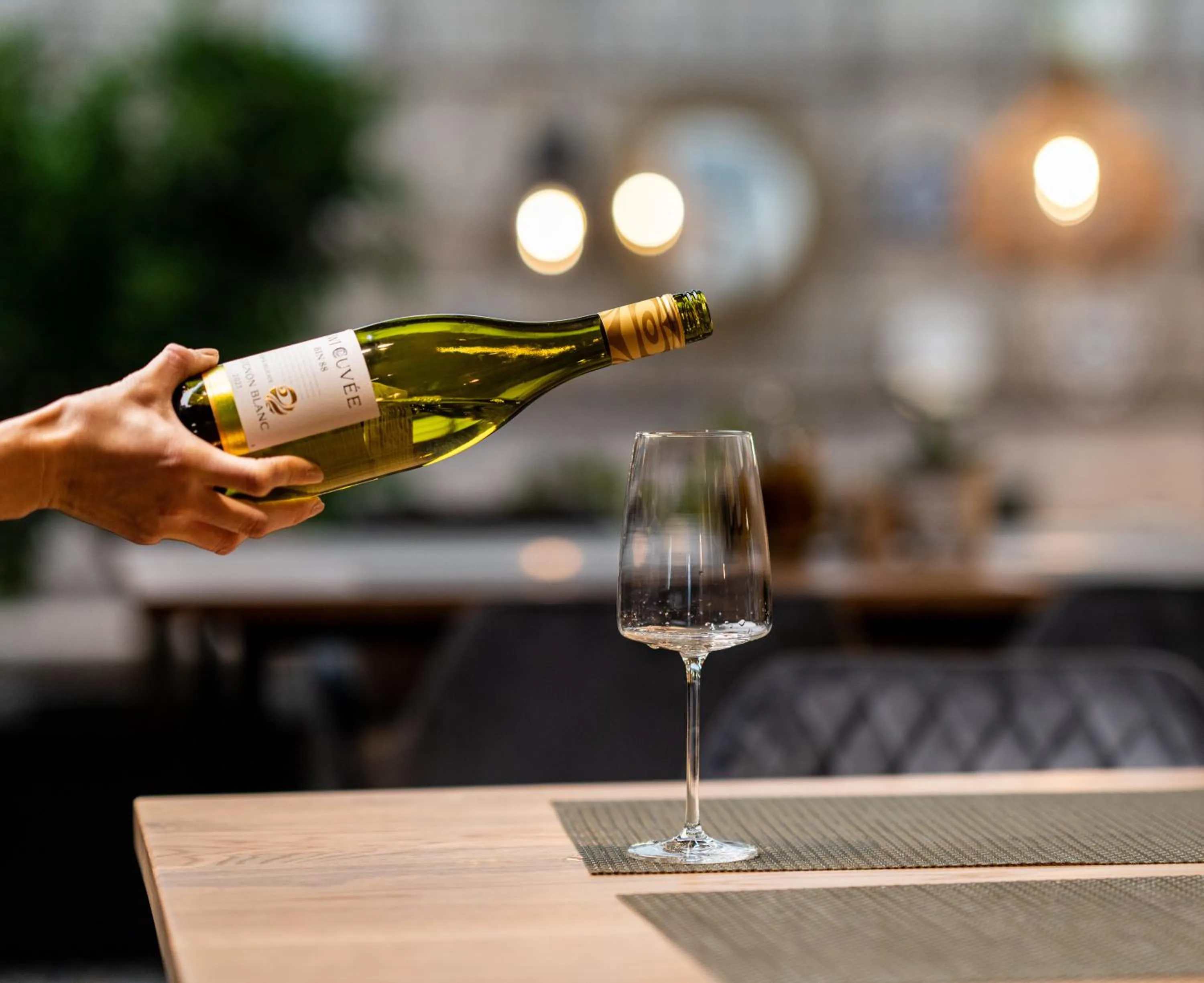 Drinks in Villa Promenade