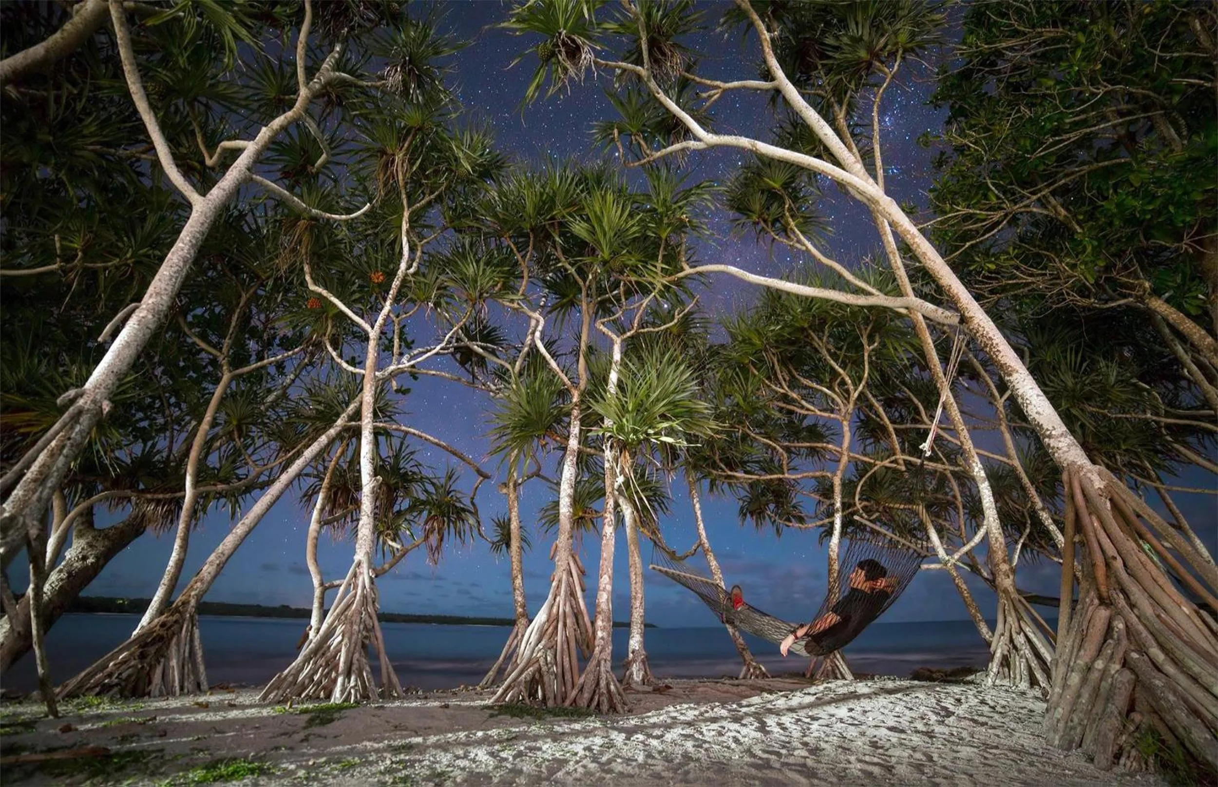 Night in Bluepango Guest House